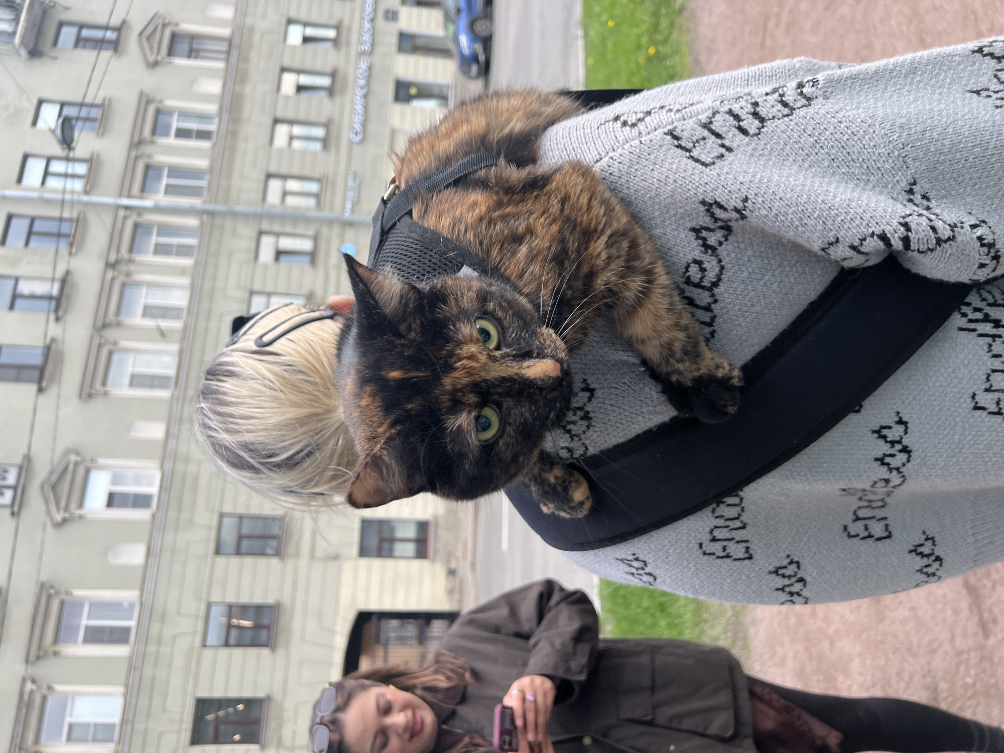 A tortoiseshell cat wearing a black harness rests on a person's shoulder. The person is wearing a light grey sweater with a repeating "Endless" pattern in black text. A woman is visible in the foreground, looking at a phone. A multi-story building with numerous windows stands in the background. The building has signage in Russian, identifying it as "Сибирское здоровье" (Siberian Health). This location is likely in Saint Petersburg, Russia.