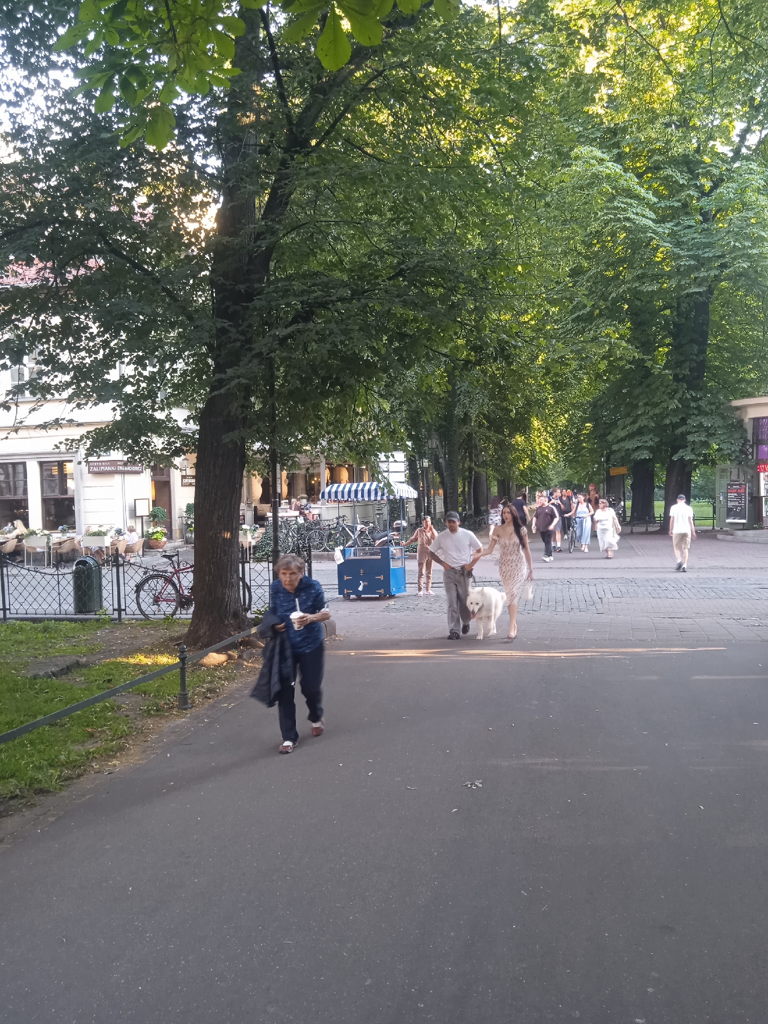 A group of people are walking along a paved walkway lined with trees. In the foreground, a woman in a blue shirt and dark pants walks towards the camera, holding a white cup and a dark jacket. To her left, a red bicycle is parked. Further down the walkway, a couple is walking a white dog. The couple consists of a man in a white t-shirt and grey pants and a woman in a floral dress. Behind them, more people are walking, some with bicycles. On the left side of the walkway, there are buildings with outdoor seating for a restaurant. The scene is illuminated by natural light, suggesting it is daytime. The environment appears to be a park or a pedestrianized area within a city.