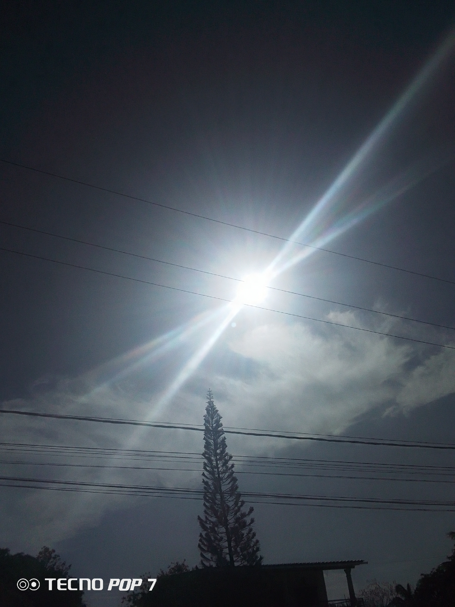 The image, taken in Altagracia, Venezuela, shows a view looking upwards towards the sky with the sun brightly visible through thin clouds. Overhead electrical power lines stretch horizontally across the frame. A tall, thin evergreen tree stands in the foreground, appearing dark against the bright sky. Below the tree, hints of other foliage and a small structure are barely visible in silhouette. The image is characterized by high contrast due to the strong light source. The lower-left corner includes the mark "TECNO POP 7".