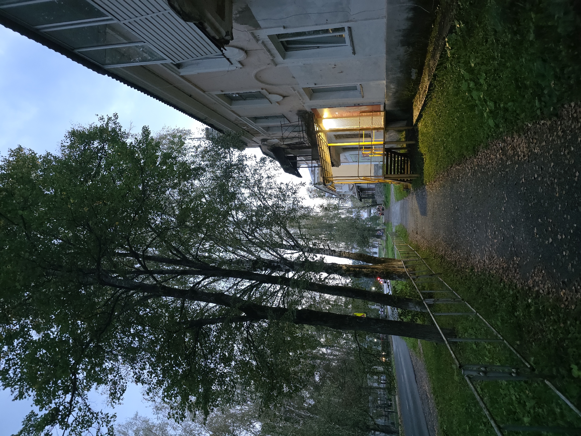 The image depicts a residential building with an attached balcony on the right side. The building is painted a light pink color, and the balcony is enclosed with white siding. The entrance to the building features a yellow-painted awning and a set of stairs. In front of the building, a paved walkway is visible, lined with a metal fence on the left and grass on the right. Several trees stand along the walkway, their leaves forming a dense canopy. A street runs parallel to the walkway on the left, with a few vehicles present. The sky above is overcast, indicating either dawn or dusk. The scene appears to be located in the city of Magnitka, Russia, given the architectural style and the presence of birch trees.