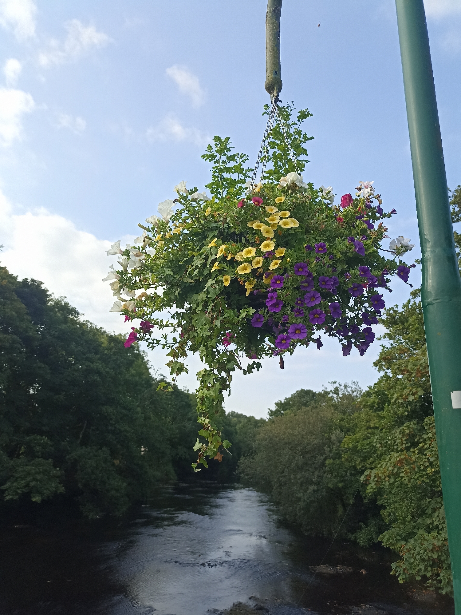 A hanging basket overflowing with colorful flowers, including white, yellow, and purple petunias, is suspended from a chain attached to a lamp post on the right side of the frame. The basket hangs over a slow-moving river that runs horizontally across the lower portion of the image. Dense green trees line the banks of the river on both sides. The sky above is a pale blue with scattered white clouds. A small insect is visible flying in the upper right quadrant of the image. The scene appears to be a scenic spot in Oughterard, Ireland, possibly a park or a public walkway.