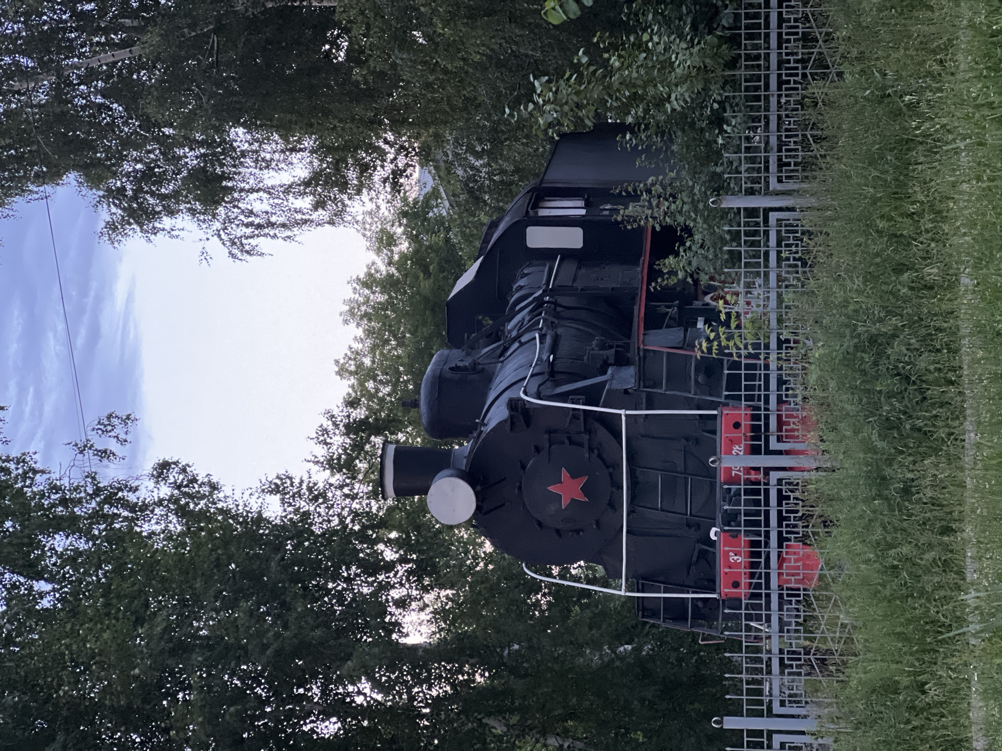 This is a medium shot, eye-level, outdoor photograph of a vintage black steam locomotive partially obscured by lush green trees and vegetation. The locomotive is stationary and appears to be on display. It has a prominent red star emblem on its front, typical of Soviet-era machinery. White handrails are visible on the front and sides of the engine. The locomotive sits behind a grey metal fence with a geometric pattern. Tall grass and foliage grow in front of and around the fence. The sky above is overcast with a soft, diffused light. In the background, behind the trees, there's a glimpse of a building, possibly residential. The scene is serene and appears to be located in a park or an open area within a city. This is a Soviet-era steam locomotive on display in Izhevsk, Russia.
