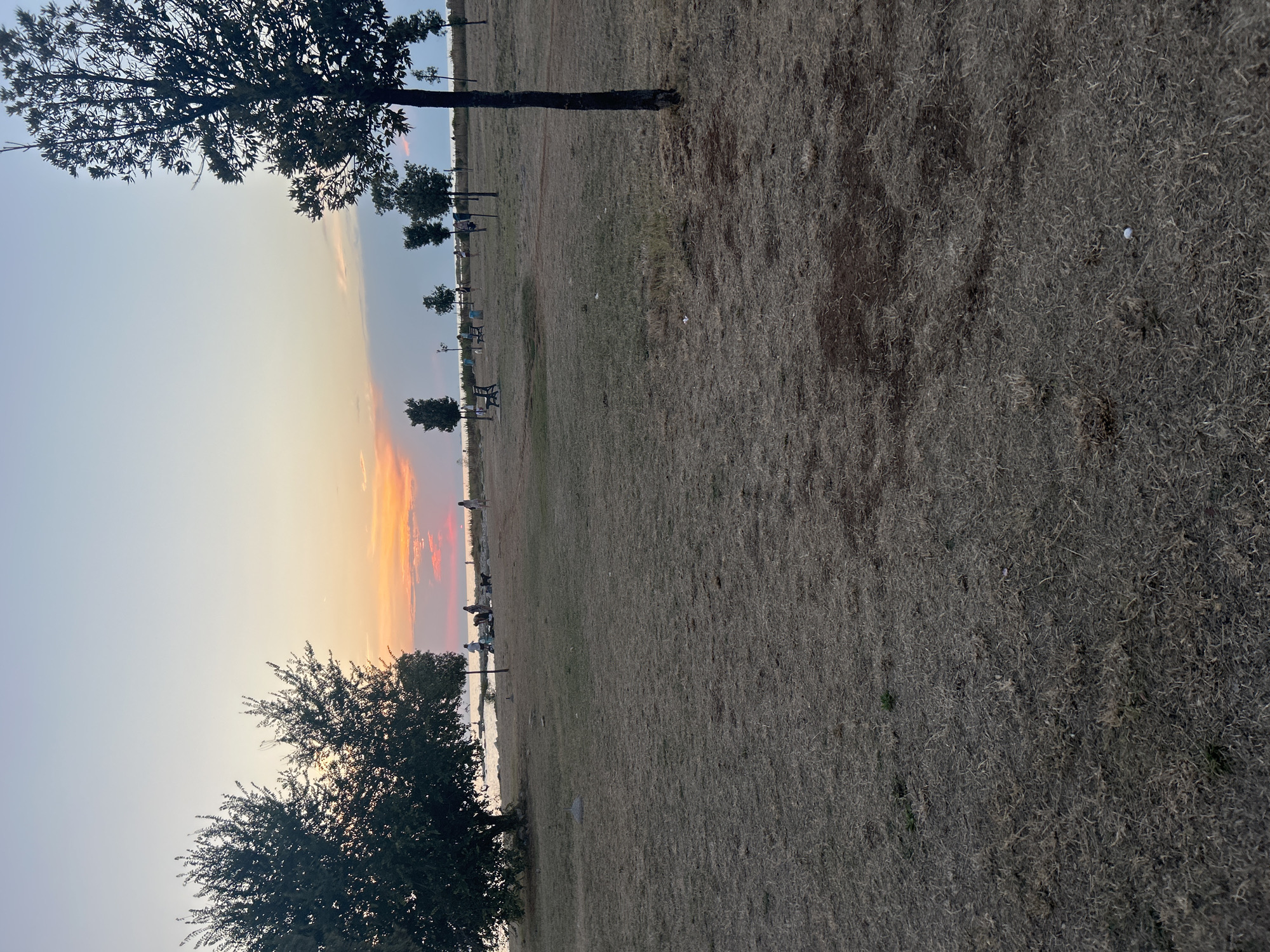The image captures a serene park scene at sunset in Katoro, Croatia. In the foreground, dry, light-brown grass covers the ground, with a few small, dark green patches and some scattered debris. Several young trees with slender trunks and sparse foliage are strategically placed across the middle ground. Further back, a line of larger, more mature trees frames the scene, with one particularly prominent tree on the right side, its dark green leaves contrasting with the sky. In the distance, a body of water, likely the Adriatic Sea, meets the horizon, painted with the vibrant hues of sunset – oranges, pinks, and purples. Silhouettes of people and dogs are visible near the water's edge and scattered throughout the park, suggesting a relaxed atmosphere where individuals are enjoying the evening. Some are standing, while others appear to be picnicking or walking their dogs. A few benches are also placed around the park, inviting rest. The sky is a gradient of pale blue at the top, transitioning to soft, warm colors near the horizon.