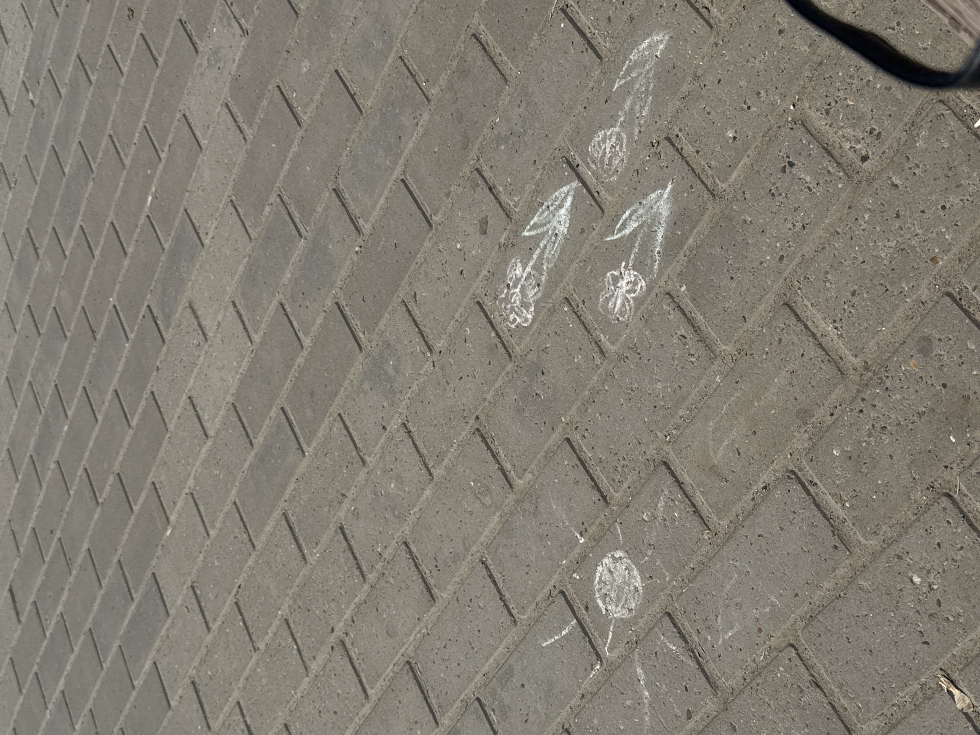 The image shows a paved surface in Chaikovsky, Russia. The paving stones are arranged in a herringbone pattern and are gray in color. On the pavement, there are chalk drawings of cherries with stems and leaves. The drawings are white and appear to be child-like. There are three cherries drawn in a row, with a fourth further down. The environment is outdoors and appears to be a sunny day.