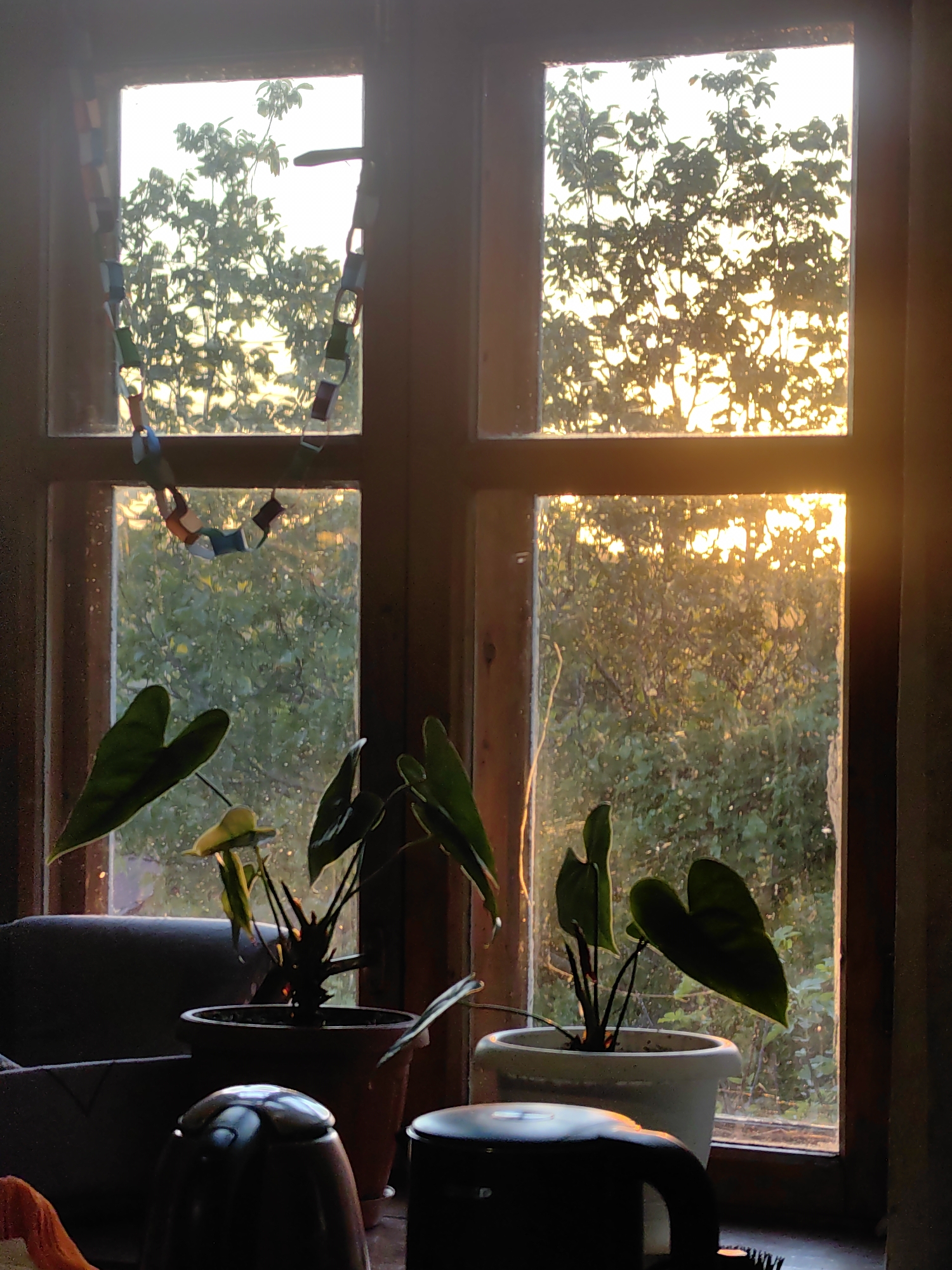 The image depicts a window in Zubskoe Rural Settlement, Ukraine, illuminated by the golden light of sunrise or sunset filtering through foliage visible outside. The window has a multi-pane structure and a decorative paper chain draped across one section. Two potted plants with large, heart-shaped leaves sit on the windowsill. In the foreground, partially obscuring the view, are indistinct objects including an electric kettle. The overall scene evokes a sense of domestic tranquility bathed in warm light.