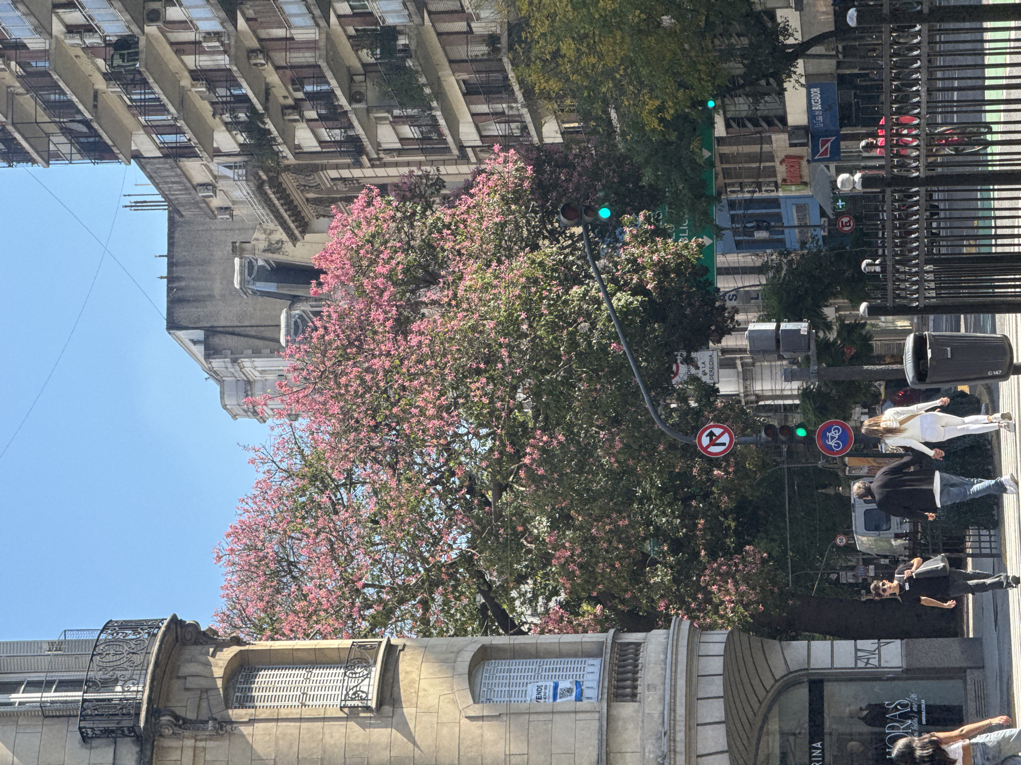 Here is a detailed description of the image:
**General Overview:**
The image captures a street scene in Buenos Aires, Argentina. The perspective is from street level, looking upwards and across the road, with buildings and trees dominating the skyline. The scene appears to be bustling with pedestrian activity.
**Buildings and Architecture:**
* The architecture features a mix of styles, including older, more ornate buildings with balconies and detailed facades, as well as more modern, multi-story apartment blocks in the background. The buildings are light in color, possibly concrete or stone.
**Vegetation:**
* The most striking element is a large tree with pink blossoms. The tree branches are intertwined with a traffic light pole. Other trees with green foliage are visible.
**People:**
* Several pedestrians are visible on the sidewalk, including a woman in a white outfit, and a man in a black jacket. There are additional individuals walking in different directions.
**Street Elements:**
* A traffic light is prominently displayed, showing a green light. A street sign with a "no right turn" symbol is attached to the same pole. Other elements such as street lamps, trash cans, and metallic fences are part of the street infrastructure.
**Signs and Text:**
* Various signs are visible, including a building sign with "HORAS" and the text "SABRINA.COM.AR." There's a sign for "LA CASA DEL BUCEADOR" and a partially obscured text "A LA DERECHA" (to the right). Another sign advertises "VENDE" (sale) for a property.
**Sky and Lighting:**
* The sky is a clear blue. The sunlight casts shadows indicating a sunny day.
**Overall Impression:**
The image captures a lively street scene in Buenos Aires, blending the city's architectural styles with vibrant street life and natural elements such as blossoming trees. The focus is on the urban environment and its interaction with daily activities.