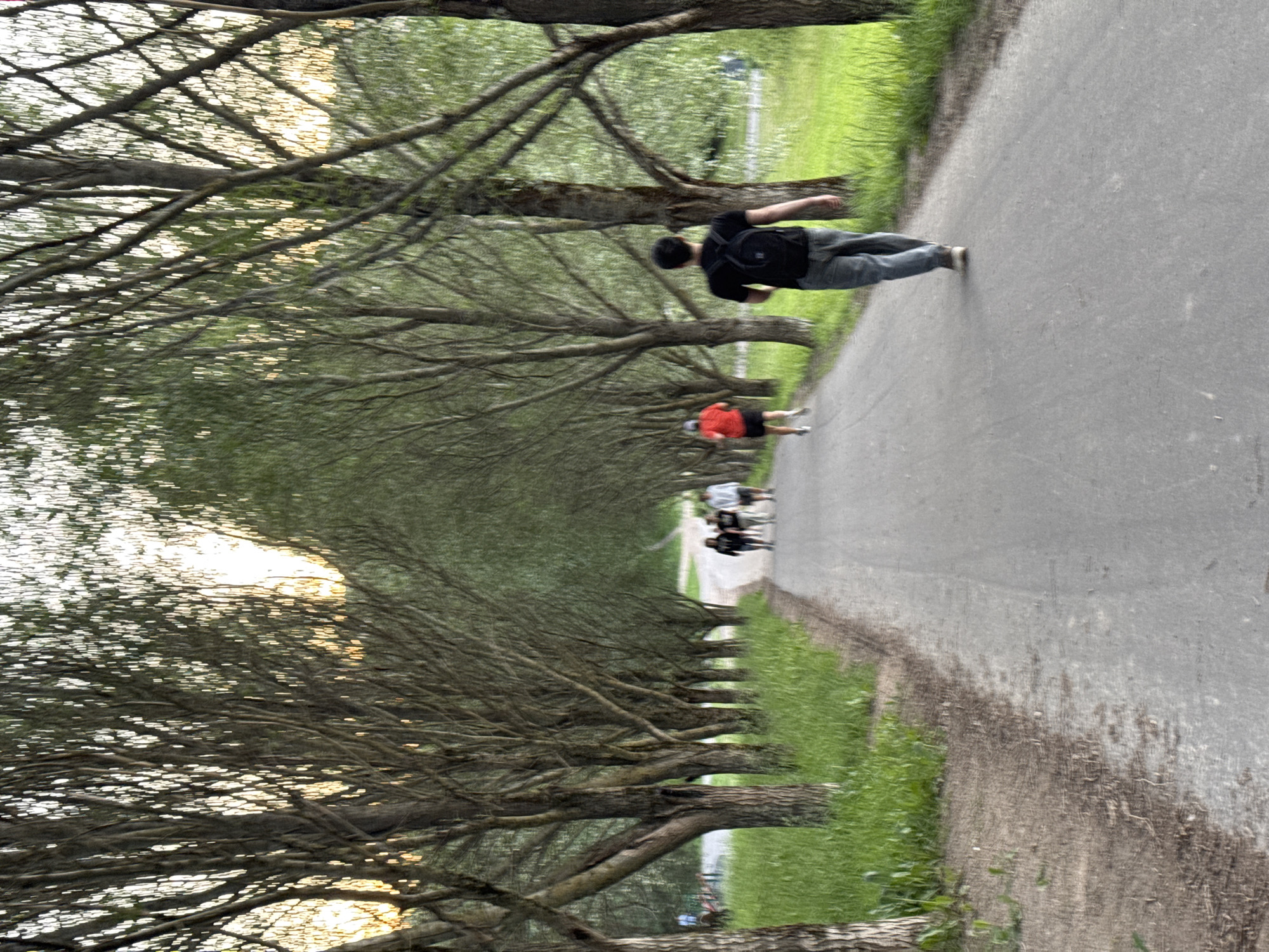 The image depicts a paved pathway lined with tall trees on either side, forming an archway effect. The sun appears to be setting, casting a warm glow through the leaves and creating dappled light on the path. In the foreground, a person wearing a black t-shirt and blue jeans is walking away from the camera, carrying a black backpack. Further down the path, several other individuals are visible, some walking and one appearing to be jogging in a red shirt and black shorts. The pathway is bordered by lush green grass on both sides. The setting suggests a park or recreational area. While the exact location is not specified, the image conveys a peaceful and serene atmosphere of an outdoor activity.