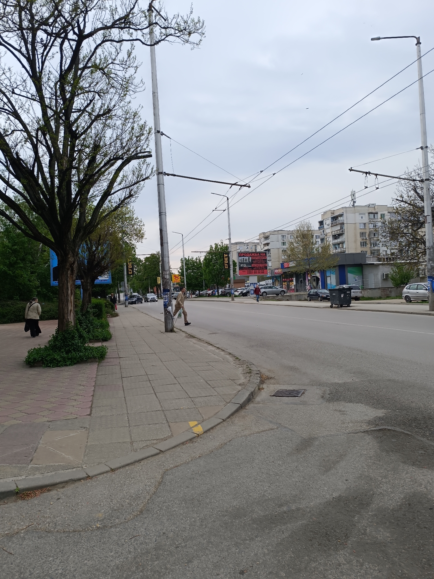 The image captures an urban street scene in Pleven, Bulgaria, under an overcast sky. The view is from the perspective of someone standing on a wide sidewalk, looking down a two-lane road that curves slightly to the right.
On the left, a mature tree with budding green leaves dominates the foreground, partially obscuring a large blue billboard. Behind it, a row of smaller trees lines the sidewalk. Two people are visible on this side of the street: one person in a light jacket walks away from the camera, and another person in a brown jacket walks towards the camera further down. The sidewalk is paved with grey and reddish-brown square tiles.
The road, appearing somewhat worn with patches, has a yellow line marking the curb. Several cars are parked along the right side of the road, and others are visible in the distance, suggesting moderate traffic. Tall utility poles with numerous overhead wires, likely for trolleybuses, line both sides of the street. A streetlamp is visible in the distance on the right.
Beyond the road, a row of multi-story residential buildings with balconies and shops at ground level forms the backdrop. One prominent sign on a building reads "ПРОДАЖБА НА АПАРТАМЕНТИ" (Sale of Apartments) with phone numbers: "ТЕЛ: 088 77 44 040" and "0887 86 00 00". Other visible text includes "ЕФБЕТ" (EFBET) on a distant sign and "СМАРТ" (SMART) on a shopfront. A large black public trash bin is positioned next to the road in front of the buildings.
The overall impression is that of an everyday urban environment during daytime, with people going about their routines. The light suggests it could be morning or afternoon, without direct sunlight.
