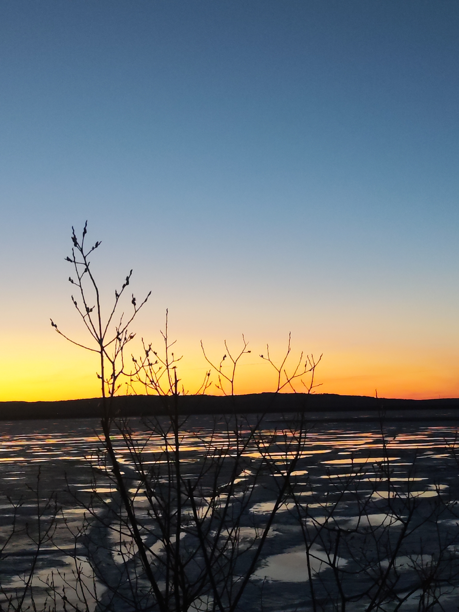 The image shows a landscape at sunset in what is likely Chaikovsky, Russia. The foreground is dominated by bare branches of a tree or bush, silhouetted against the colorful sky. The sun is setting over a body of water, with ice visible on the surface. The water reflects the warm colors of the sunset. In the distance, there is a dark landmass, possibly a hill or far shore, appearing on the horizon. The sky transitions from a deep blue at the top to a vibrant orange and yellow near the horizon. No people or animals are visible.