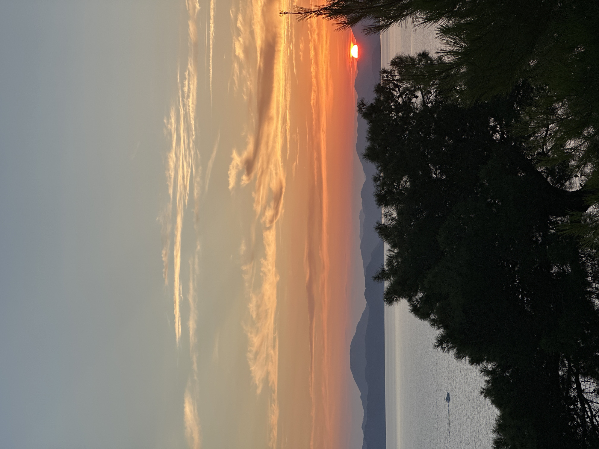 The image depicts a breathtaking sunset over a vast body of water, characteristic of a coastal landscape like Fethiye, Turkey. The sky is dominated by a spectacular array of warm colors, transitioning from fiery reds and oranges directly above the horizon where the sun is setting, to softer yellows, creams, and finally light blue-grey tones higher up. Streaky, wispy clouds, illuminated by the low sun, stretch across the sky, adding texture and depth to the celestial canvas.
The sun itself is a vibrant, partially obscured red-orange orb, dipping behind a series of distant mountains or hills. These landforms appear in successively lighter shades of dark blue and grey, creating a strong sense of atmospheric perspective as they recede towards the horizon. Below this mountainous silhouette, a calm body of water, likely a sea or a large bay, reflects the diffuse light of the sky, appearing as a smooth, reflective surface in cool grey-blue tones. A small, white sailboat, with its mast clearly visible, is positioned in the middle distance on the water, a solitary element in the expansive scene.
In the foreground, on the right side of the image, the dark, silhouetted branches and needles of pine trees frame the view. Their dense foliage provides a stark, dark contrast against the brightly lit sky, adding a sense of natural framing and depth to the composition. The scene captures the tranquil and beautiful end of a day, with no people or visible text present. The weather appears clear and calm, enhancing the peaceful atmosphere of the coastal sunset.