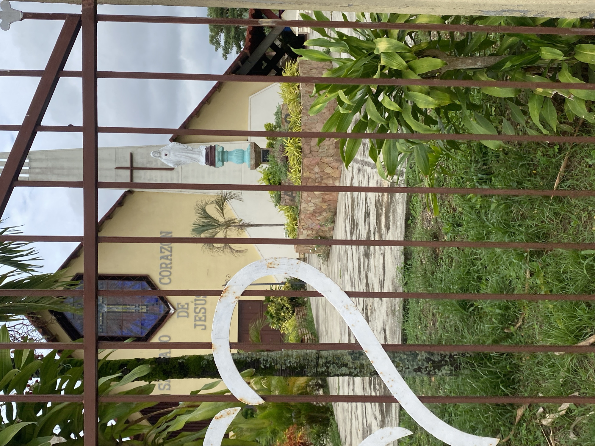 The image shows a partial view of a church, Igreja Sagrado Coracao de Jesus, located in Tinaquillo, Venezuela, through a rusty metal gate with decorative white elements. The church is a pale yellow color with a white spire topped with a cross. A white statue stands on a pedestal in front of the church. A stained glass window is visible. The church's name "SAGRADO CORAZON DE JESUS" is written vertically on the facade. A palm tree is planted in front of the building. The foreground includes green vegetation, both behind the gate and partially obscuring the church building. The sky is overcast. The ground appears to be partly paved and partly grassy.