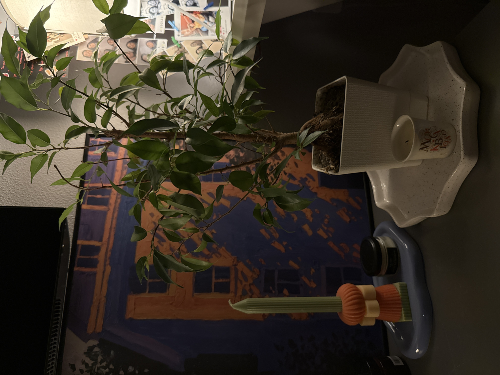 The image shows an indoor scene with a houseplant in a white pot, placed on a white decorative tray along with a candle in a cup labeled "Moscow NBA KBA 1980." Behind the plant is a painting depicting a building with a blue and orange color scheme. In the lower right corner, there is a candle placed in a blue holder, along with a black jar-like object. The plant is a ficus with many green leaves and branches. The background includes what appears to be a lamp and various photos pinned to a surface. The location, as indicated by the inscription on the cup, is Moscow, Russia.