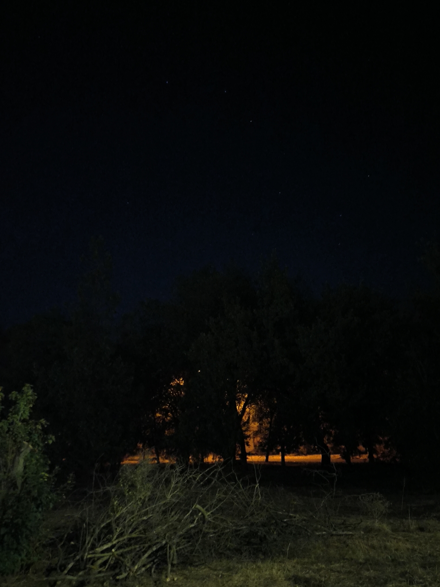 The image depicts a dark, nighttime scene with a silhouetted tree line in the background. A few distant, faint lights are visible through the trees, suggesting some form of human habitation or illumination. The foreground is dimly lit, showing dry grass and scattered branches. The sky is dark, with a few small, faint stars visible. This scene is consistent with a rural or semi-rural area on the outskirts of Mykolaiv, Ukraine, at night. There are no people or specific identifiable objects present.