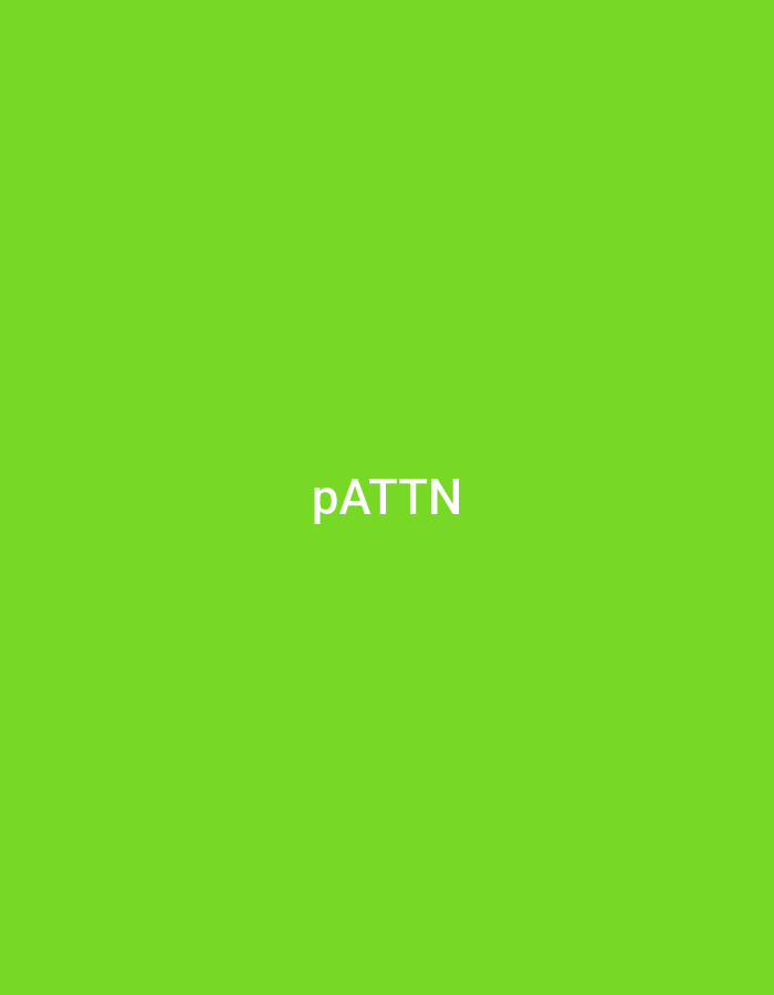 The image shows the text "pATTN" in white sans-serif font centered horizontally and vertically on a vibrant lime green background. There is no discernible location in Lhokseumawe, Indonesia, or any other environmental or human elements present in the image.