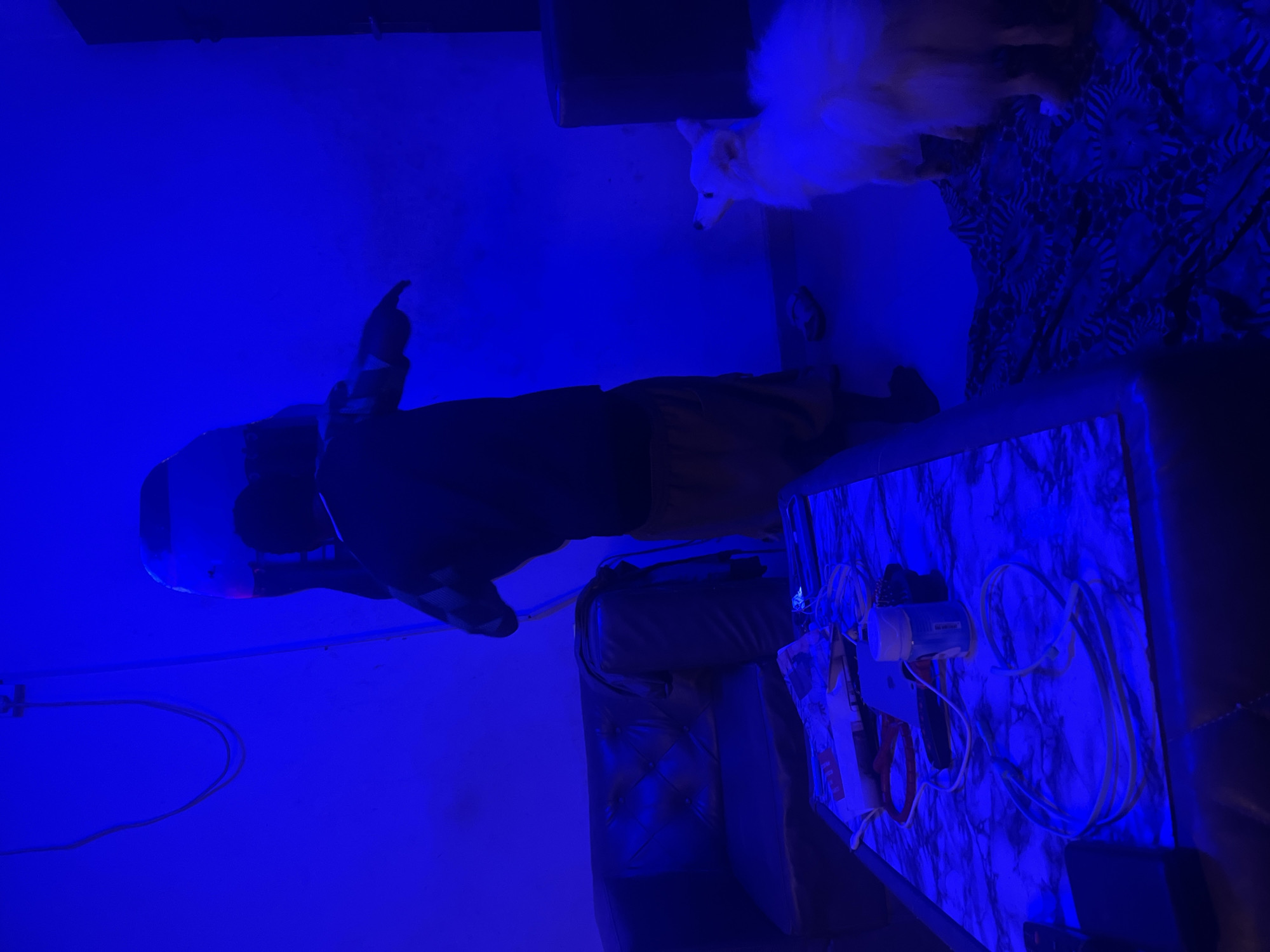 The image captures an indoor scene in Ikot Ekpene, Nigeria, bathed entirely in an intense, artificial blue light, suggesting nighttime or a specially lit room. The perspective is rotated 90 degrees counter-clockwise.
In the center, a person is standing or leaning, viewed from the waist up. They wear a dark jacket or hoodie with the hood pulled up, and dark pants. Their face is obscured by shadow and the blue light. Their right arm is slightly raised, pointing towards something out of frame or gesturing.
To the upper right, a small, fluffy white dog, possibly a Pomeranian, looks downwards, its fur glowing brightly under the blue illumination. It appears to be on a piece of furniture, possibly a sofa or chair, which is covered with a dark blue and white patterned blanket or throw.
In the foreground, a table or flat surface with a blue and white marble-like pattern is prominently displayed. Several items are arranged on it: a white plastic bottle (possibly hand sanitizer or lotion), a toy gun (orange and black, resembling a Nerf blaster), and multiple coiled white cables or wires. A dark remote control is partially visible at the bottom edge of the table.
Furniture includes a dark, tufted armchair or sofa to the right of the table, and another dark, cushioned piece of furniture behind the person. White cables run along the floor or wall in the lower left. The overall atmosphere is dim and stylized due to the monochromatic blue lighting, giving the room a relaxed or moody ambiance. No legible text is visible in the image.
