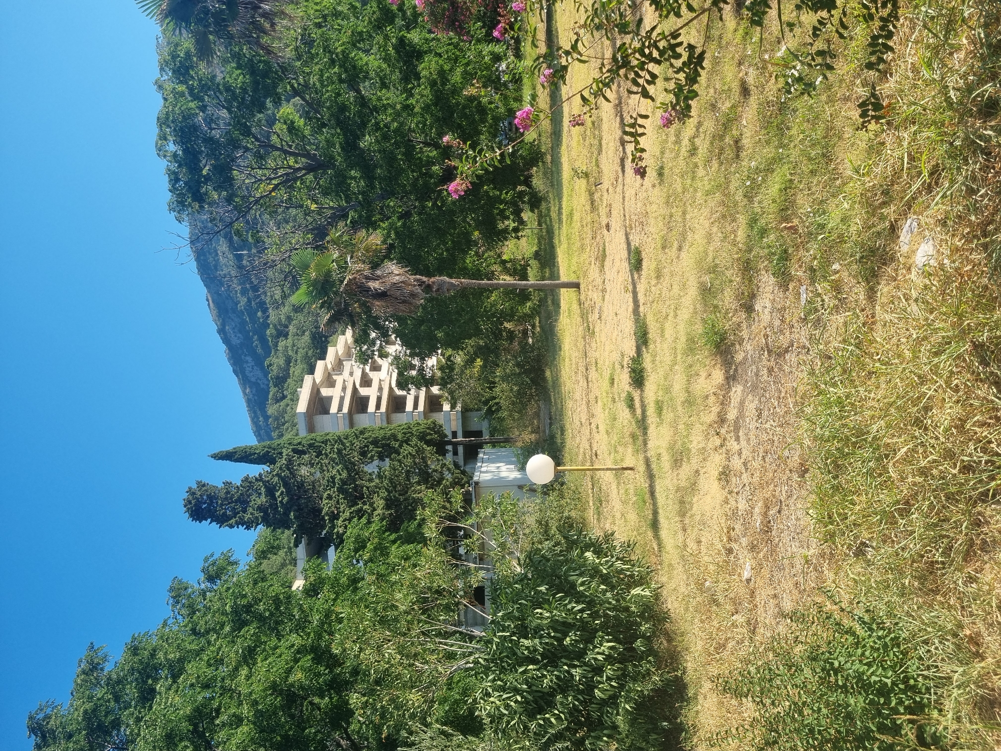 The image depicts an outdoor scene in Sutomore, Montenegro, featuring a partially constructed building and a grassy area. The building, appearing to be an apartment complex or hotel, is visible in the background, characterized by its unfinished concrete structure with visible balconies and support columns. It is surrounded by lush green trees, including tall cypress trees and broad-leafed varieties. In the foreground, a dry, sun-bleached lawn stretches across the scene. A single, spherical white lamp post on a yellow pole stands in the grassy area, casting a shadow. To the right of the frame, a flowering bush with small pink blossoms adds a touch of color. The sky above is a clear, bright blue, indicative of fair weather. The overall impression is one of a natural landscape encroaching upon a development project under construction.