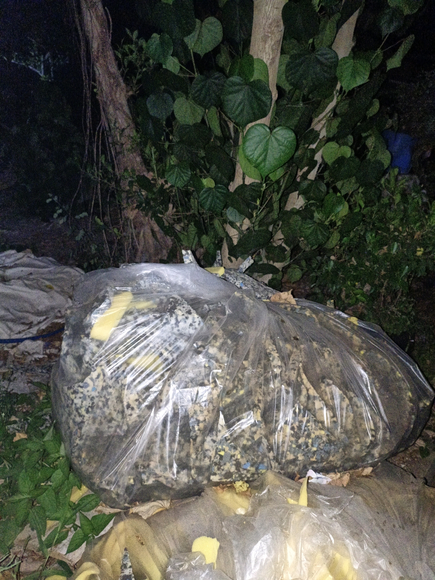 The image depicts an outdoor scene with dense foliage and a large tree trunk. In the foreground, two large, clear plastic bags are filled with what appears to be shredded foam or stuffing material, exhibiting various colors including gray, blue, and yellow. One bag is partially covered by a light-colored fabric. The surrounding environment appears to be a natural setting, possibly a roadside or undeveloped area, with visible green leaves and some dry debris on the ground. The lighting suggests it is either dusk or nighttime, with artificial illumination casting shadows and highlighting the textures of the objects. There are no visible people or distinct landmarks that would specifically pinpoint the location to Cikal, Indonesia, beyond the prompt's provided context.