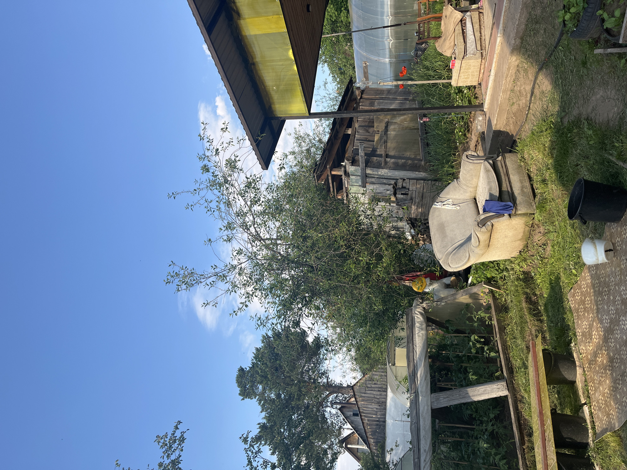 The image depicts a backyard scene in Chaikovsky, Russia, featuring a variety of structures and objects. In the foreground, a weathered armchair sits on the grass, with a blue cloth draped over its armrest. To the left, a wooden bench with a yellow and green top rests on two black buckets. A patterned mat is laid out on the ground in front of the armchair.
Further back, various gardening structures are visible. A makeshift greenhouse or cold frame, constructed with wood and translucent sheeting, encloses green plants. Adjacent to this is a rustic wooden shed or outbuilding with a corrugated metal roof. To the right, a modern greenhouse with a clear plastic covering is present. A metal pole extends upwards near the greenhouse.
Dominating the background are several trees, including a tall pine tree with a house built into its base, suggesting an unusual architectural integration. Another dense, leafy tree stands to the right of the pine. The sky above is a clear blue with scattered white clouds.
There are no visible people in the image. The overall impression is one of a somewhat unkempt, functional backyard, likely a dacha or a rural property, with elements of both established structures and more improvised additions. The presence of gardening elements like the greenhouse and the armchair suggests it's a space used for both cultivation and relaxation.