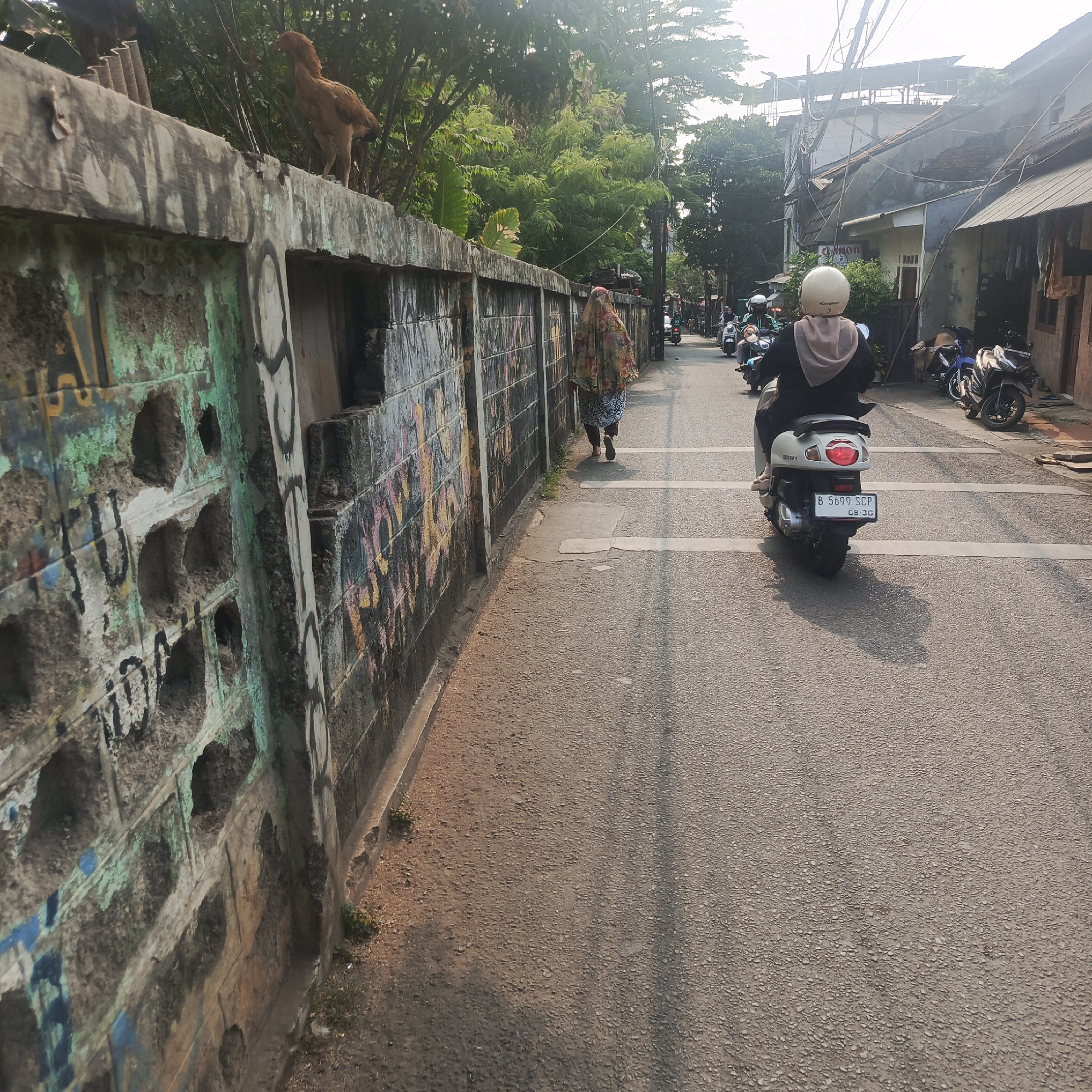 A chicken stands on a low, graffiti-covered concrete wall that runs alongside a narrow asphalt road. A woman wearing a headscarf and traditional patterned clothing walks away from the camera on the sidewalk to the left of the wall. On the road, a person wearing a white helmet and a hijab rides a white scooter, with other motorcycles and scooters visible further down the road. The buildings lining the street appear to be residential, with some showing signs of wear and tear. Power lines are visible overhead, and trees with lush green foliage are interspersed with the structures. The scene is illuminated by the bright light of what appears to be late afternoon sun, casting long shadows on the road. The environment suggests a densely populated urban area in South Jakarta, Indonesia, characterized by a mix of residential housing, pedestrian activity, and motorized traffic.