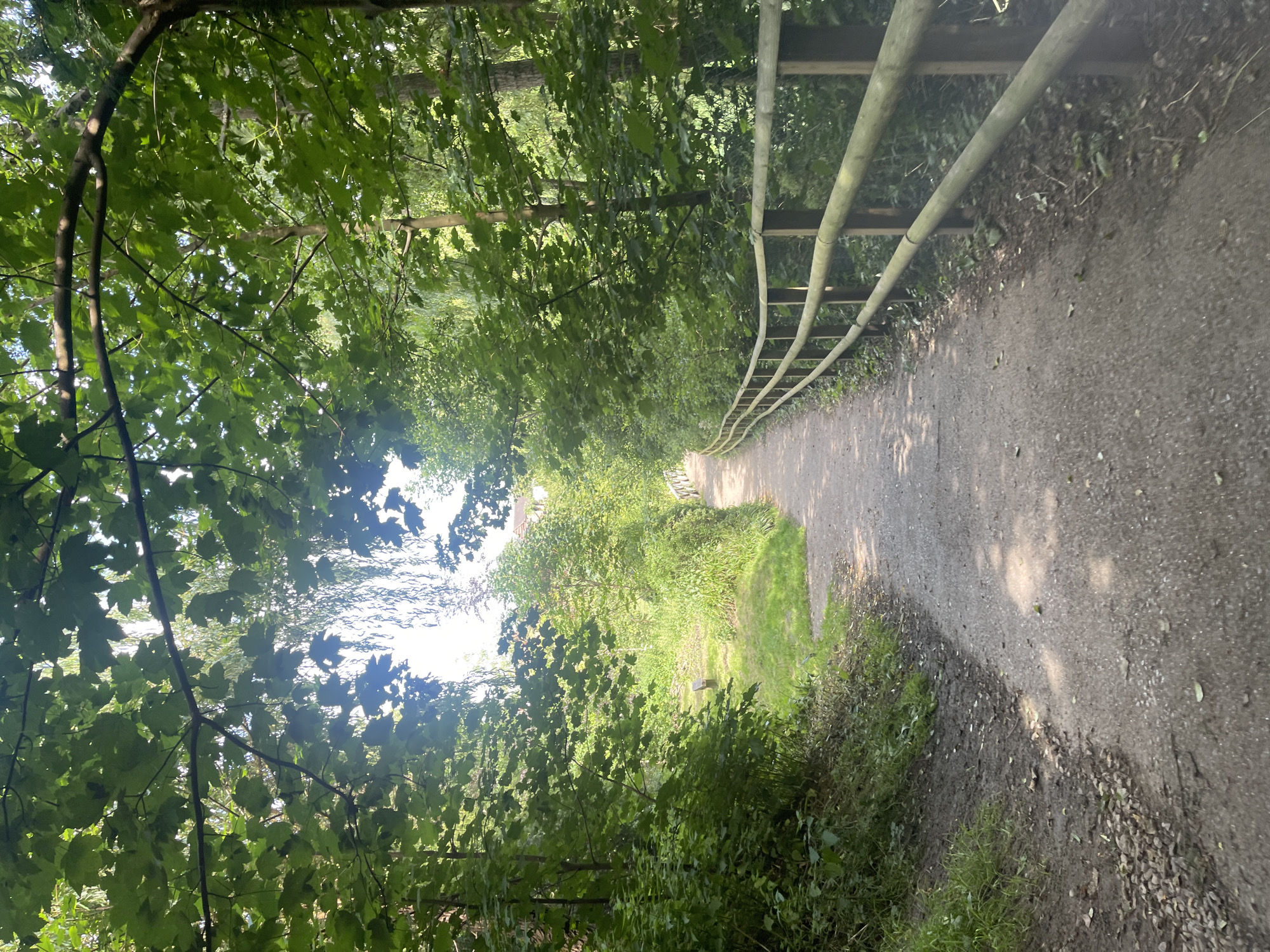 A well-maintained gravel path winds through a lush green forest in Maidstone, United Kingdom. The path is bordered on the right by a sturdy wooden fence, its pale logs interspersed with upright posts. Sunlight filters through the dense canopy of leaves overhead, dappling the path with shadows. To the left of the path, the forest floor is covered with grass and fallen leaves, with a few scattered stones. Further along the path, a single wooden bench sits invitingly on a patch of grass. In the distance, a hint of a building can be seen peeking through the trees, suggesting the proximity of a more urban area. The overall impression is one of a serene and picturesque natural setting.