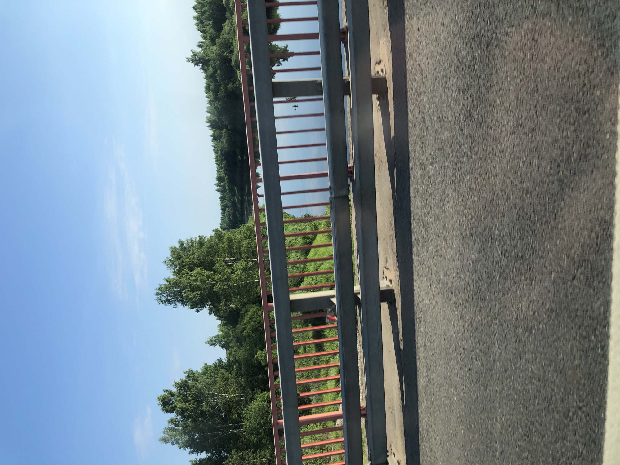 A wide-angle, medium shot captures a view from a bridge over a river, as seen from a vehicle. The bridge railing, a combination of grey metal and red vertical supports, dominates the foreground and midground. Beyond the railing, a calm river reflects the clear blue sky and the lush green trees lining its banks. The trees form a dense forest that stretches into the distance, with the shoreline partially obscured by shadows. In the middle of the river, two ducks are visible, swimming close together. The road surface, an asphalt texture, is in the bottom portion of the frame, suggesting the perspective of someone traveling across the bridge. The overall impression is one of a serene natural landscape on a bright, sunny day. The image was taken in the vicinity of Kablukovo, Russia.