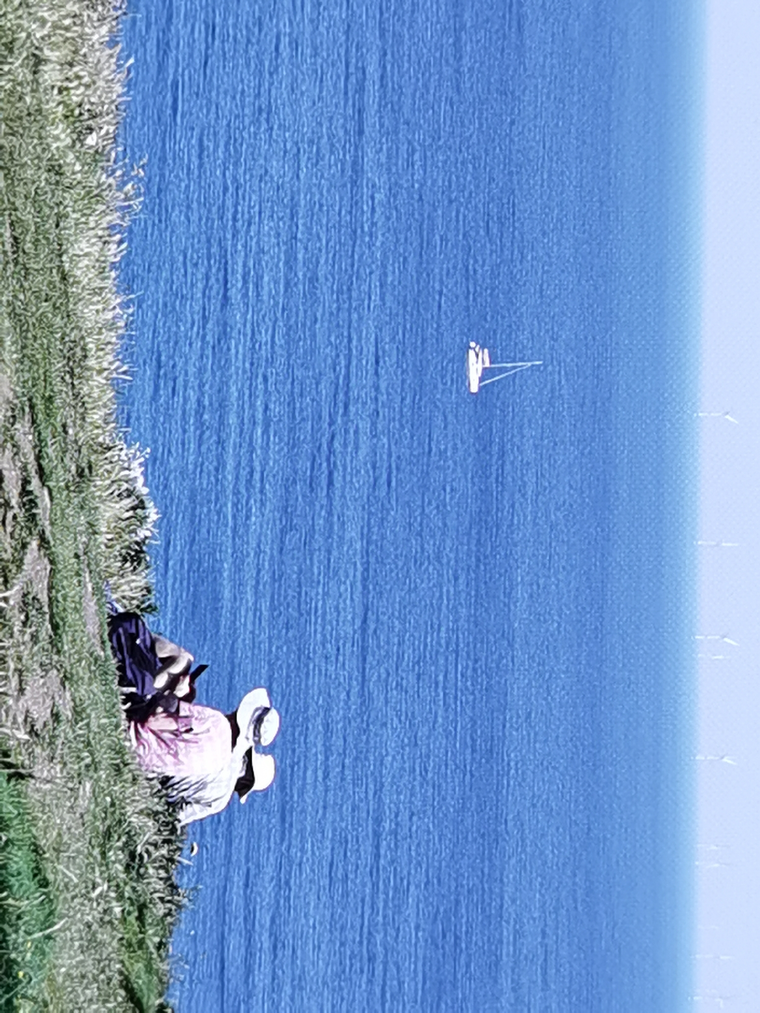 In Étretat, France, a person wearing a straw hat and a pink garment sits on a grassy cliff overlooking the ocean. They are positioned on the left side of the frame, with their back to the viewer. The ocean stretches out before them, a vast expanse of deep blue with a lighter horizon. In the distance, a small white sailboat with a single sail is visible on the water. The grass on the cliff is lush and green, creating a stark contrast with the vibrant blue of the sea. The scene conveys a sense of tranquility and contemplation.