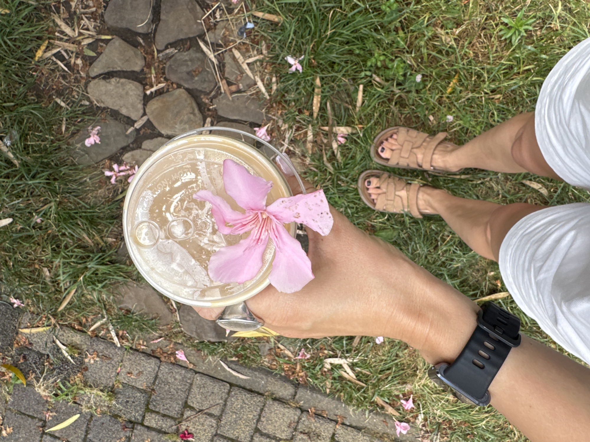 An overhead shot captures a person's hand holding a clear plastic cup filled with a light-colored beverage and ice, topped with a delicate pink flower. The hand wears a silver ring. Below, the person's feet are visible, clad in tan sandals, standing on a patch of green grass interspersed with scattered pink petals and fallen leaves. A black smartwatch is worn on the left wrist. The background shows a stone pathway to the left and a mix of grass and rocks to the right. The scene is likely outdoors, possibly in a park or garden setting. This image does not contain any specific elements that identify the location as Sochi, Russia.