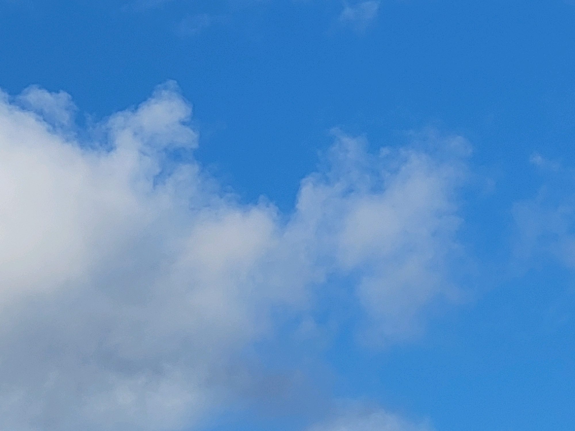 The image is a close-up, eye-level, outdoor shot of a bright blue sky with scattered white, fluffy clouds. There are no people, structures, or discernible landmarks present. The image is purely a depiction of the sky and clouds. There is no information within the image to suggest a specific location in Jelgava, Latvia.