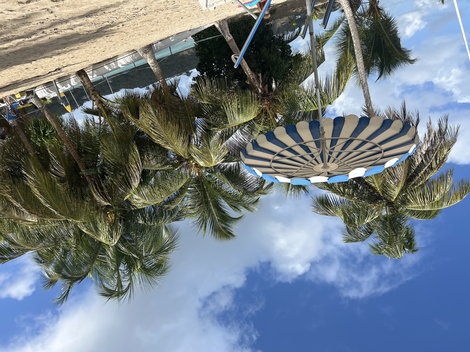 Captured from a low-angle perspective, the image portrays a vibrant beach scene in Le Gosier, France. The view is dominated by a cluster of palm trees with verdant fronds that reach into the sky. A partially visible blue and white striped beach umbrella punctuates the scene. Glimpses of a sandy beach and the turquoise water of the ocean are visible. The sky is a clear blue with scattered, fluffy clouds.