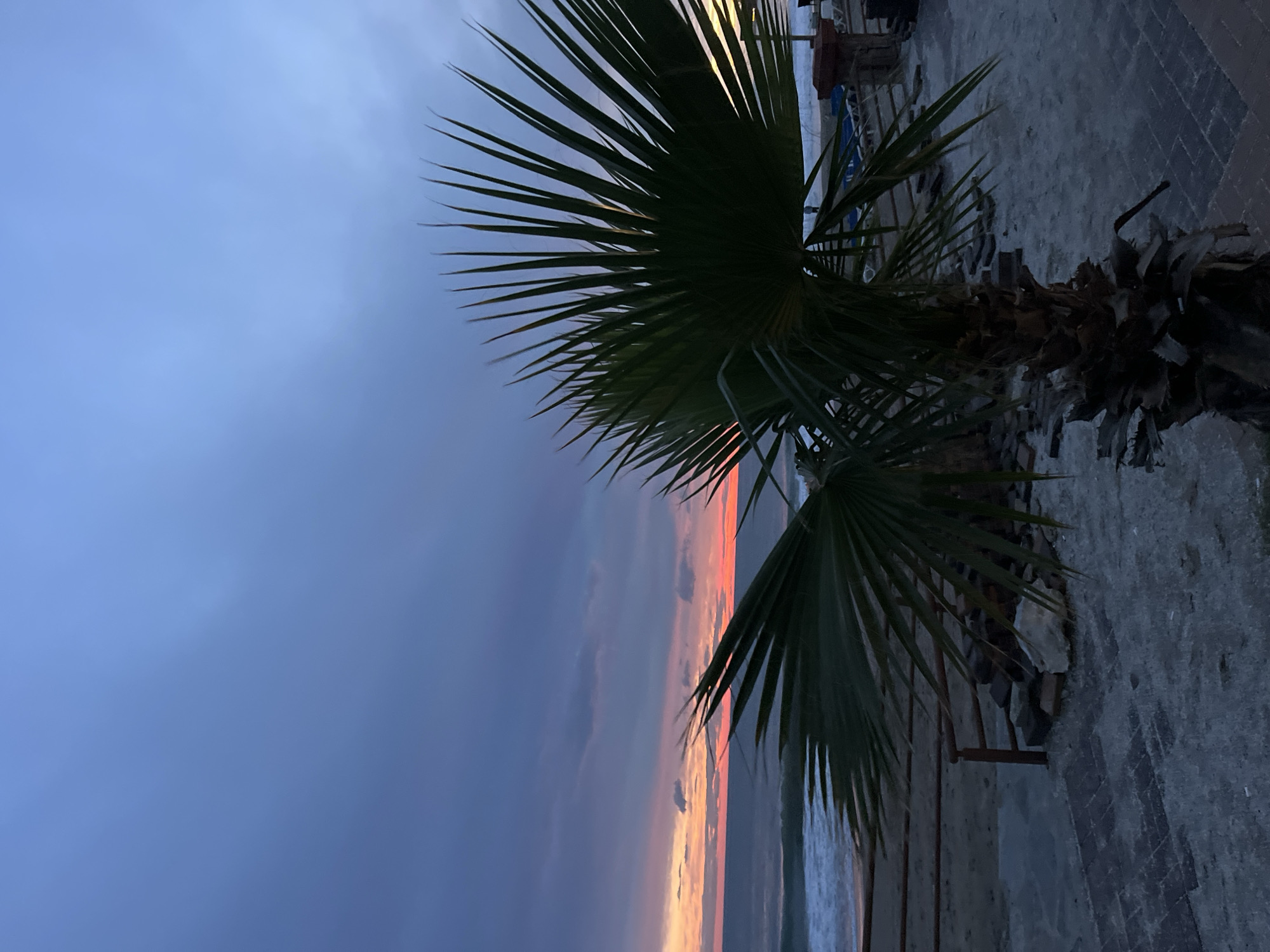 The image depicts a sunset scene with a palm tree in the foreground. The sky transitions from dark blue to orange and pink hues, indicative of a sunset or sunrise. The palm tree is silhouetted against the colorful sky. The location appears to be a coastal area, with hints of a beach and possibly the sea visible in the distance. Given the prompt, the location is likely Alanya, Turkey, although there are no specific landmarks visible in the image to confirm this. The photograph seems to have been taken near a paved area with brickwork, and there are some indistinct objects that may include seating in the far background. There are no people visible in the image.