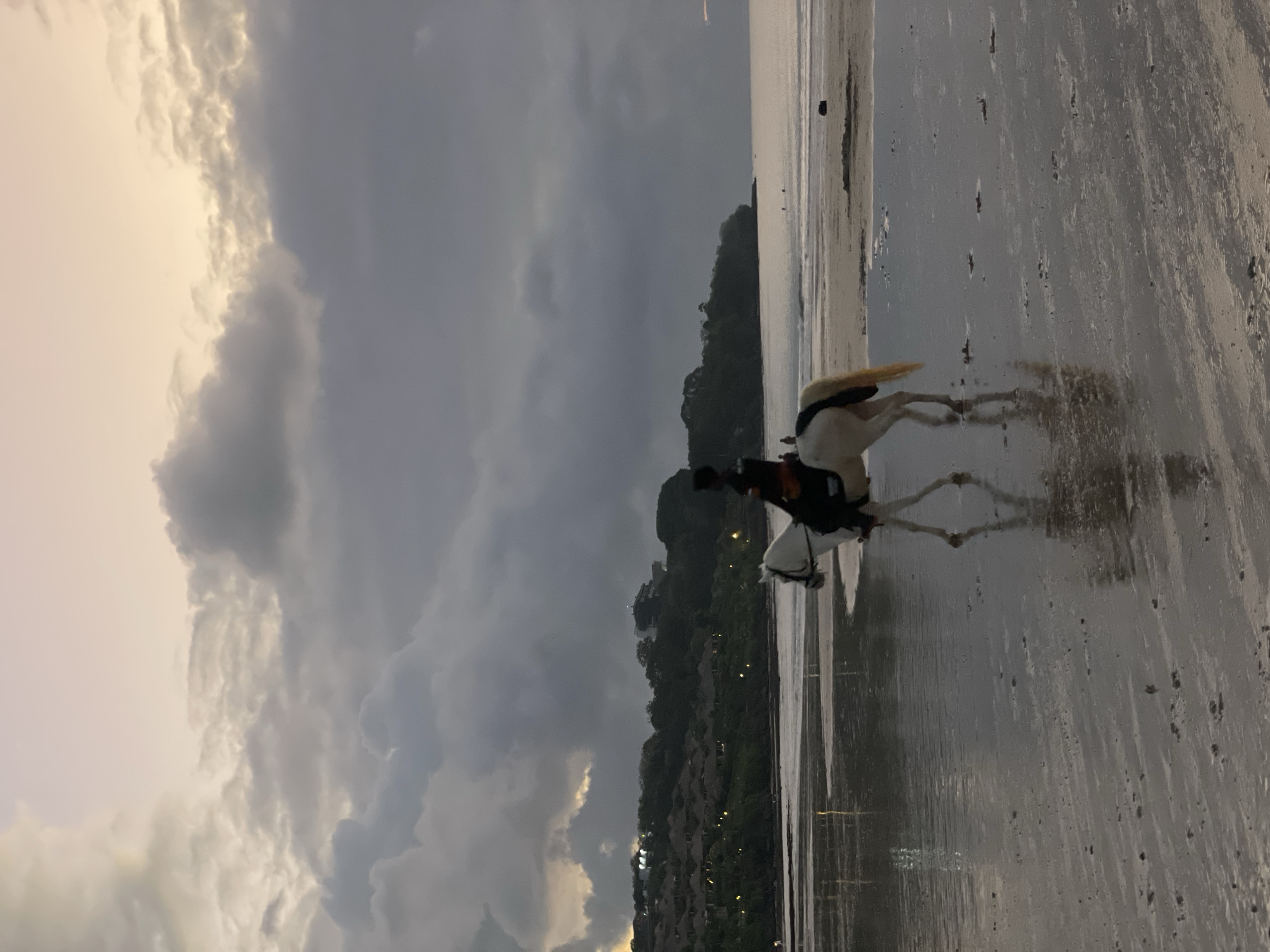 A person rides a white horse along a wet sandy beach at dusk. The horse is facing left, and the rider, dressed in dark clothing, is seated on its back. The horse's legs are wet, and a reflection of the horse and rider is visible on the wet sand. In the background, a body of water meets the shore, with a tree-covered hill and a cluster of buildings along the coastline. The sky is filled with dramatic, cloudy formations, with a hint of warm light peeking through the clouds near the horizon. The overall scene is serene and atmospheric, suggesting a peaceful evening on the coast.