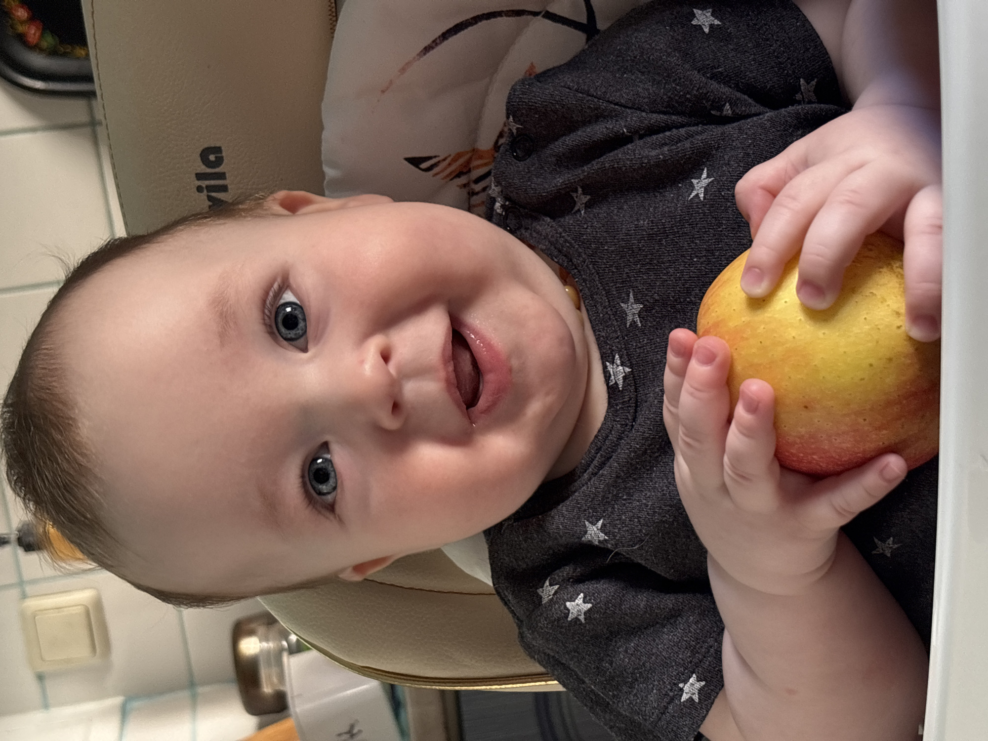 A baby with blue eyes, wearing a gray shirt with white stars, is holding a yellow and red apple. The baby has their mouth open and is seated in a high chair. The location cannot be determined.