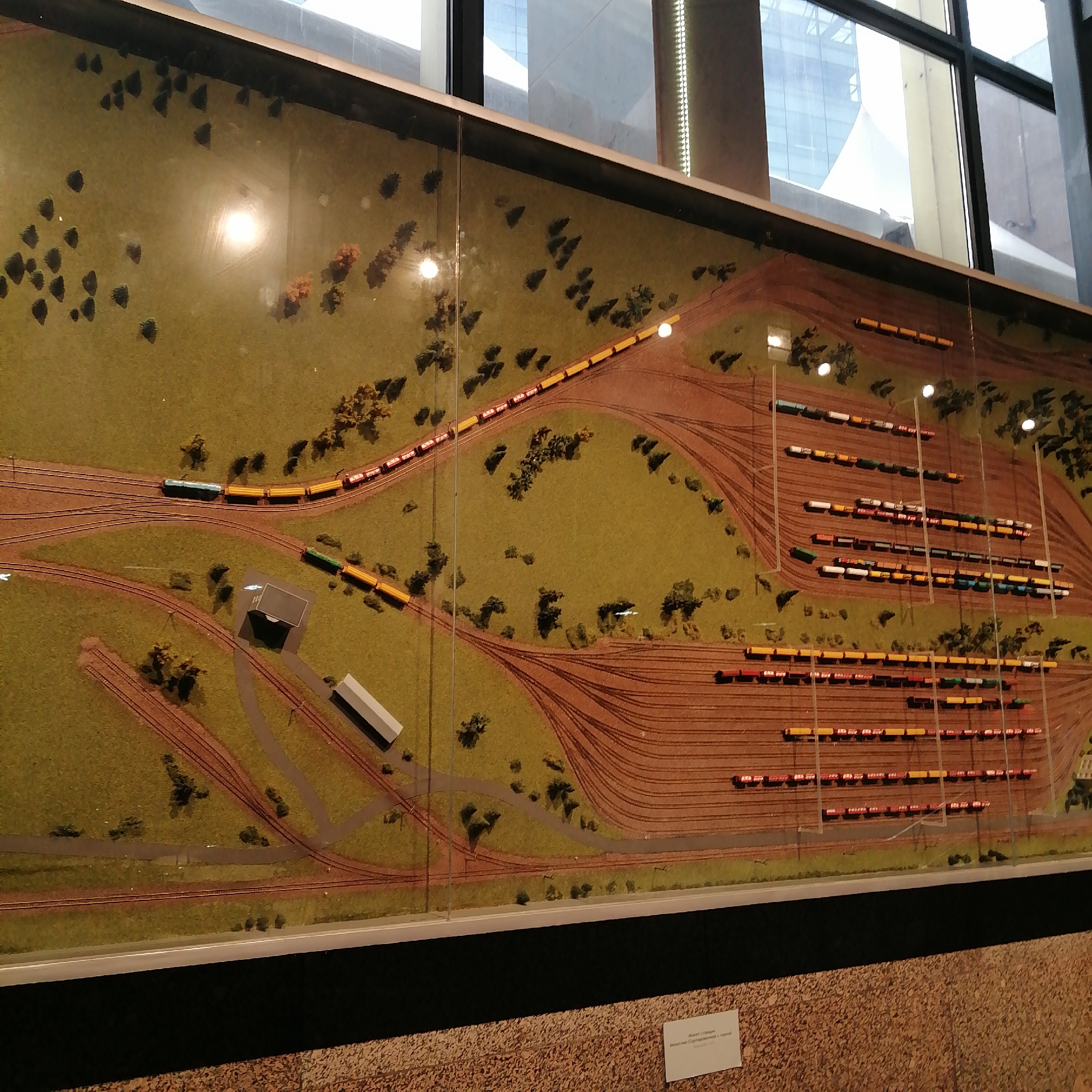 The image shows a detailed model train set encased in glass, likely an exhibit. The model depicts a landscape with trees, buildings, and a complex railway network. A long train winds through the landscape, while numerous train cars are parked on various tracks, possibly in a train yard. The scene includes elements of both natural environments and industrial areas. Reflections on the glass surface obscure some details, including reflections of a window and a building. Based on the visible signage, the model may be located in Moscow, Russia. The model depicts the Beskudnikovo-Sortirovochnoe railway station. The image is shot at a low angle, showing the presentation or exhibition style of the model.