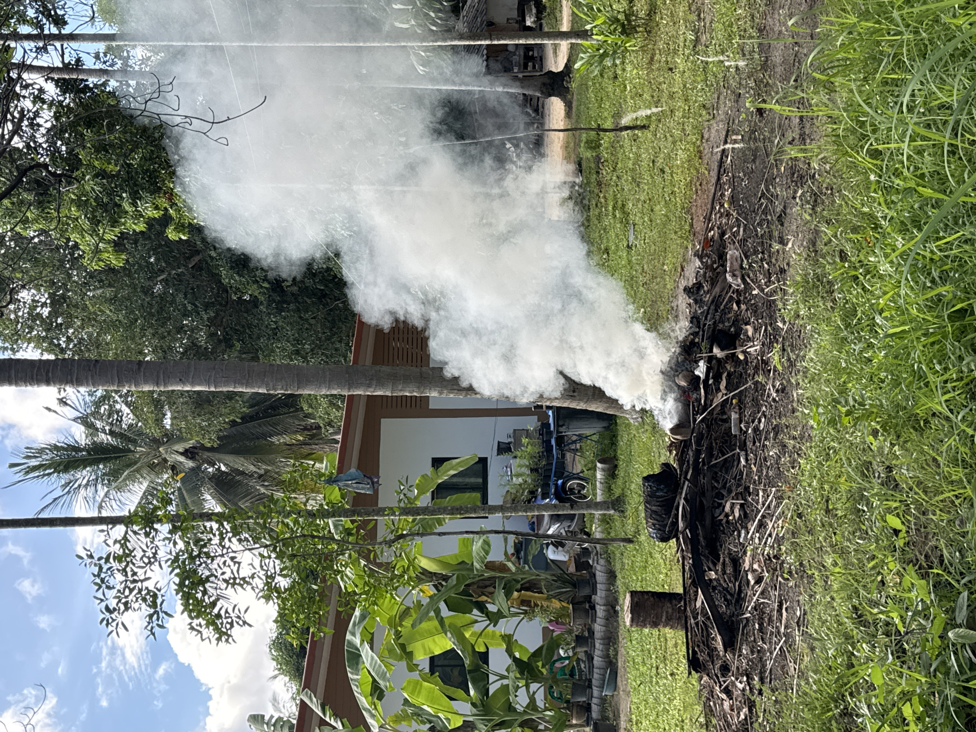 This is an outdoor scene in ตำบลเกาะพะงัน, Thailand, featuring a pile of burning debris in the foreground, emitting a large plume of white smoke that dominates the right side of the image. The debris pile consists of dry leaves, branches, and some dark, possibly plastic, material. Behind the burning pile, a grassy yard is visible, with several trees, including palm trees, scattered throughout. To the left, a white house with a brown roof is partially visible, with large banana plants in front of it. A blue motorcycle is parked in front of the house, near some potted plants and a blue trash bin. The sky is partly cloudy with bright daylight.