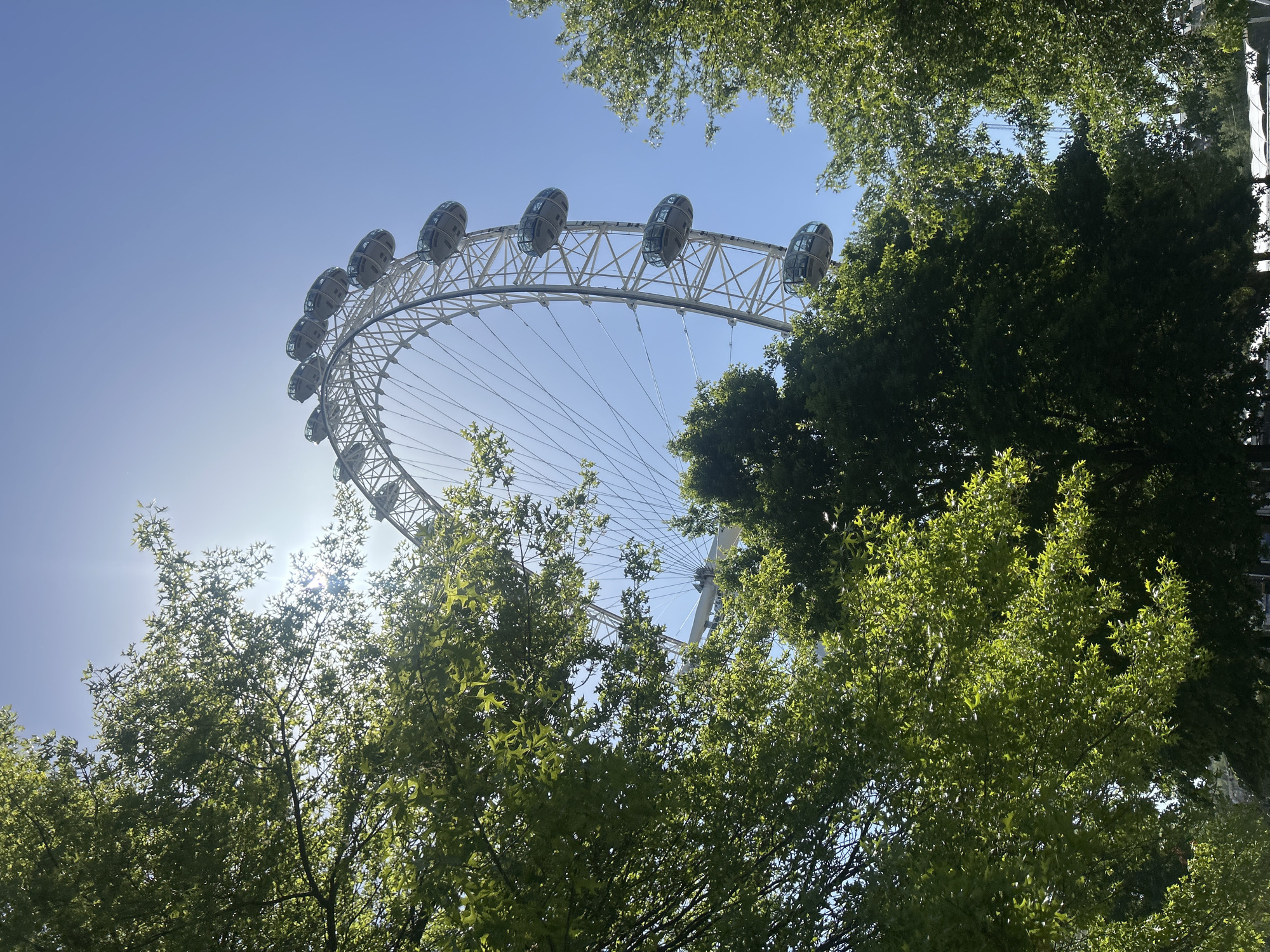 A bright, upward-looking shot captures a section of a large Ferris wheel, identifiable as the London Eye, framed by abundant green trees and foliage. The wheel's white metallic lattice structure and several transparent, enclosed passenger pods are clearly visible against a clear, vibrant blue sky. The sun shines brightly from the lower-left, creating a lens flare and illuminating the leaves of the trees, highlighting their lush green color. The perspective is from below the tree line, looking up through the canopy towards the iconic landmark. The scene depicts a sunny daytime, with no visible clouds. No people or specific activities are discernible, though the presence of the London Eye indicates a recreational or tourist setting in London, United Kingdom. There is no visible text in the image.