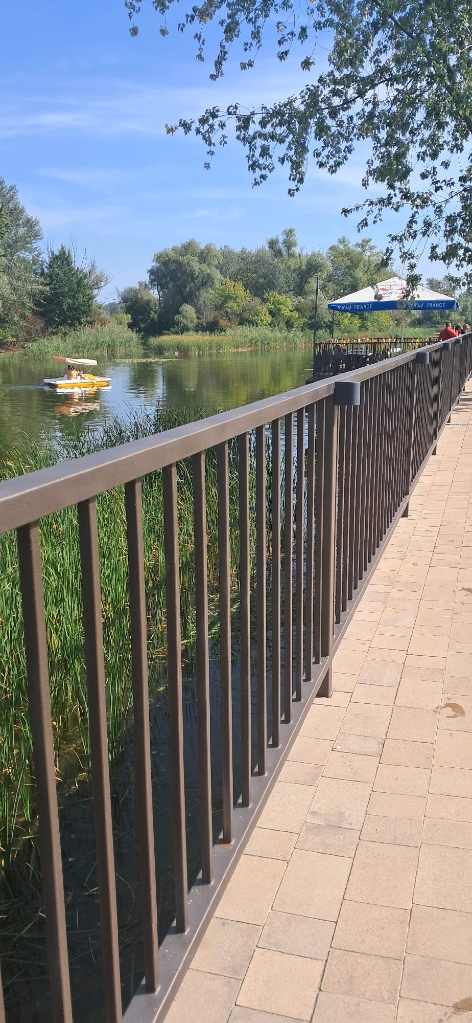 The image depicts a sunny outdoor scene at a waterfront location, likely in Chykalivka, Ukraine. In the foreground, a brown metal railing runs diagonally from the left to the right of the frame, separating a paved walkway from a body of water. The walkway is made of light-colored rectangular pavers.
On the left side of the railing, the water is visible, with tall green reeds growing along the bank. Further out on the water, a yellow paddleboat with a canopy is carrying at least two individuals.
In the middle ground, a lush green treeline forms the background beyond the water, with various types of trees and foliage. A white umbrella with blue trim, emblazoned with the text "1604 FRANCE" repeated multiple times, stands on a wooden deck area extending from the shore. Several tables and chairs are visible under and around the umbrella, suggesting an outdoor seating area for a cafe or restaurant.
In the background, the sky is a clear, bright blue with a few wispy white clouds. The upper right corner of the image shows the branches and leaves of a large tree, casting some dappled shadows. A person in a red shirt is seated at one of the tables on the deck. The overall impression is of a serene, recreational waterfront environment.