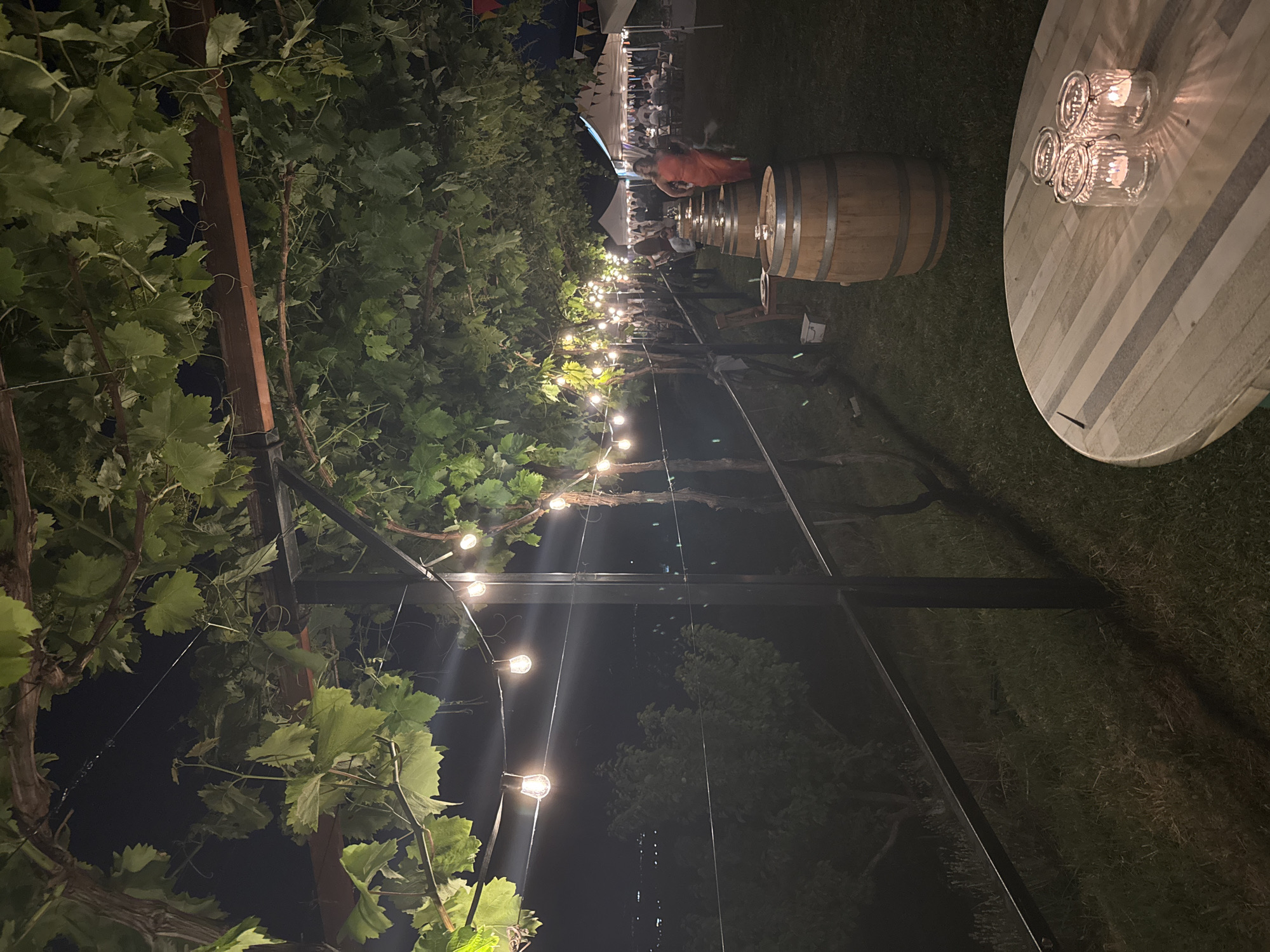 The image captures an outdoor nighttime event in Harsovo, Bulgaria, illuminated by string lights and candles. A dense canopy of green grapevines, supported by metal and wooden structures, covers the upper portion of the scene. Bare-bulb string lights are suspended in lines, casting warm light along a path. In the mid-ground, a row of wooden wine barrels, functioning as standing tables, extends towards the background on a grassy surface. A woman wearing a bright orange dress walks among these barrels, facing away from the viewer and looking left. Further in the background, several white event tents are erected, with numerous indistinct figures visible within and around them. Colorful banner flags are strung above the tents. The distant horizon beneath the dark night sky reveals scattered points of light, indicative of a populated area. In the immediate foreground, a circular wooden table, constructed from light and dark wood planks, holds three clear glass jars, each containing a lit candle, which emit a soft glow.