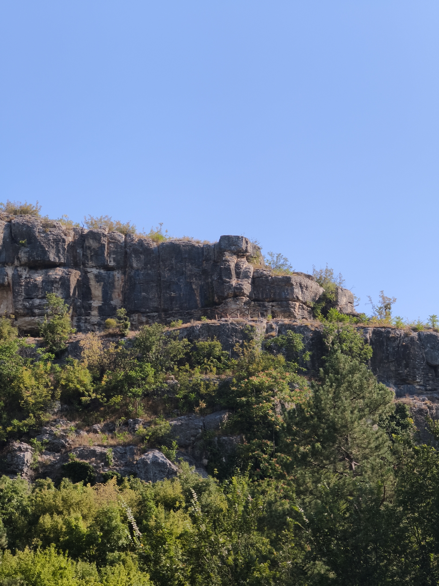 The image shows a sheer rock face in the city of Lovech, Bulgaria, with a clear blue sky overhead. The rock face is layered and appears to be composed of sedimentary rock, with streaks of lighter-colored stone interspersed with darker gray and black sections. Vegetation, primarily green trees and shrubs, covers the lower portion of the rock face and extends into the foreground. Some of the trees are quite dense, obscuring parts of the rocky terrain beneath. The overall scene depicts a natural landscape adjacent to a rocky outcrop.