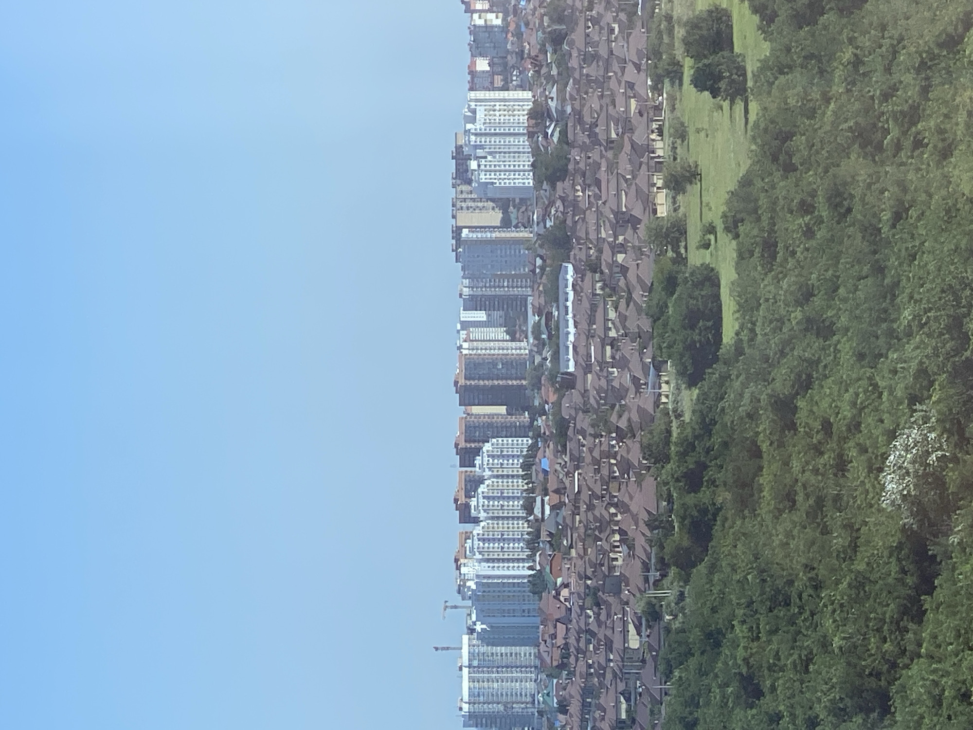 The image shows a panoramic view of a suburban area with a clear blue sky. In the foreground, a dense forest of green trees occupies the lower half of the frame. Behind the forest, a neighborhood of uniform houses with brown tile roofs stretches across the middle ground. Further in the distance, a cluster of tall apartment buildings rises above the houses, with cranes visible near some of them, suggesting ongoing construction. The overall scene depicts a blend of nature and urban development.