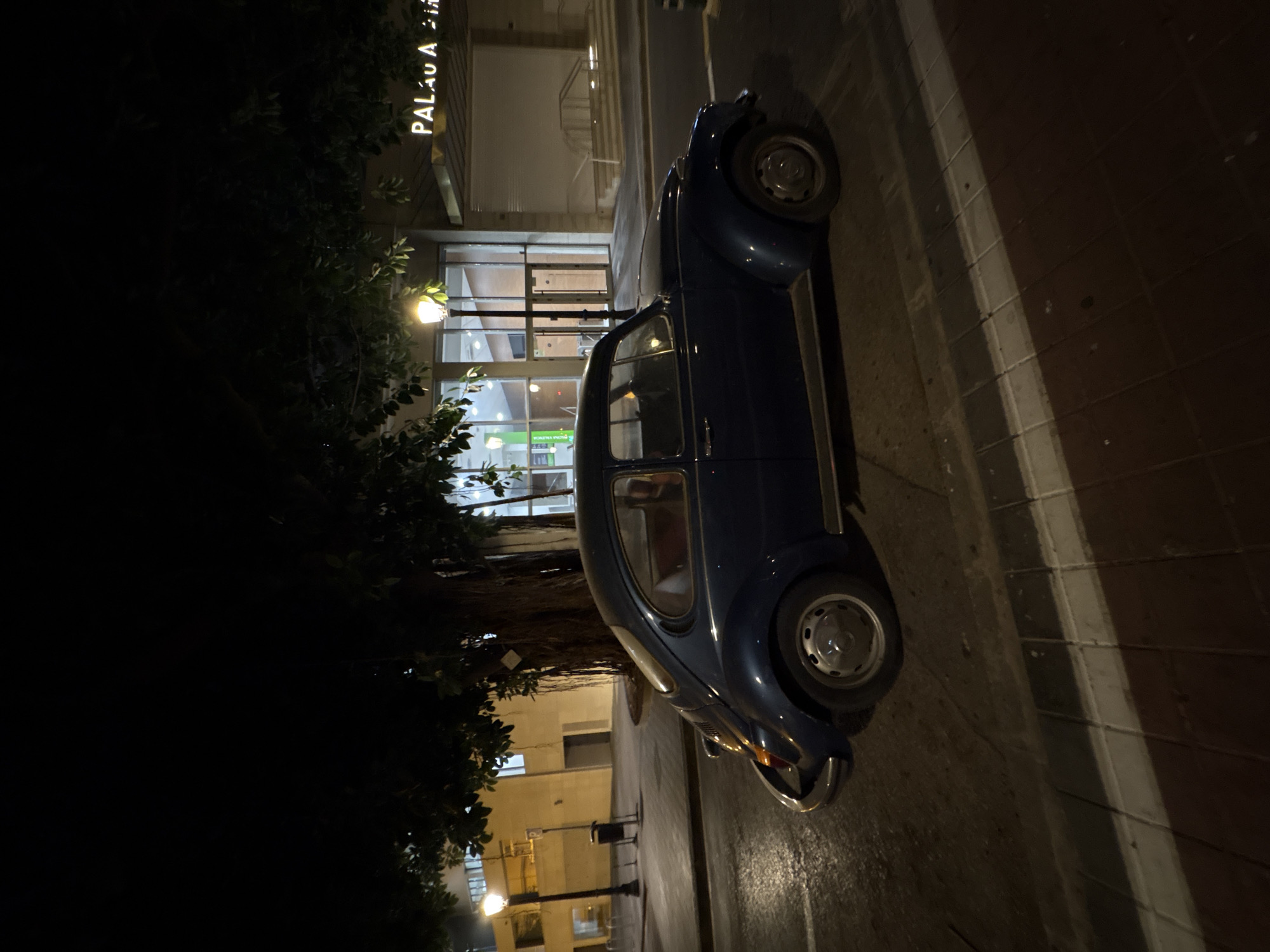 An exterior, low-angle, night-time shot captures a dark blue Volkswagen Beetle parked on a wet, paved street. The car is positioned to the right of the frame and faces left, showing its side profile. The car's interior is dimly visible, revealing brown seats. Behind the car, a large tree with hanging roots dominates the left side of the image. To the right of the tree is a modern building with large glass doors and windows, illuminated from within. A sign with yellow lettering reading "PALAU A D" is visible on the building's facade. A street lamp stands near the building entrance, casting a warm glow on the scene. The street itself is paved with alternating dark and light rectangular stones and has a white line marking the edge.