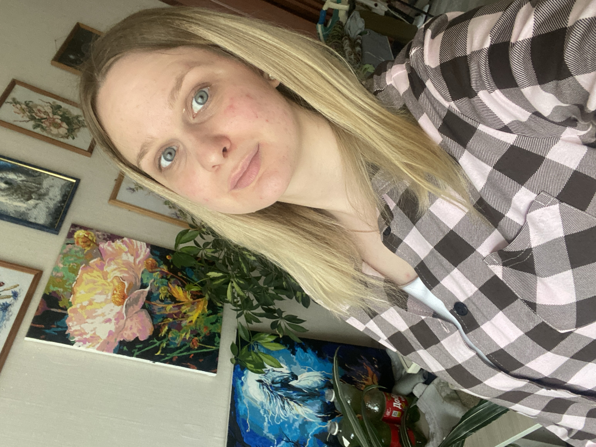 The image captures a selfie of a young woman in an indoor setting, likely a home, in Kauchuk Stantsiya, Russia. The woman has long blonde hair, blue eyes, and fair skin, with visible redness or blemishes on her cheeks and chin. She is wearing a pink and dark gray/black checkered (plaid) button-up shirt, partially open to reveal a white undershirt. Her expression is neutral with a faint, slight smile as she looks directly into the camera.
The background features a light-colored wall adorned with several framed artworks. Notable among these are a vibrant painting of a large, light-colored flower, possibly a peony, with green and yellow foliage against a dark background, and another painting below it depicting a white, ethereal horse-like figure against a dynamic blue backdrop. A leafy green houseplant is positioned near the paintings, adding a touch of nature to the scene. In the lower right corner, parts of jars or bottles are visible, one of which has a red label with partial Russian text: "Добр" (likely part of "Добрый" - good/kind) and "До". The lighting appears to be natural, suggesting the photograph was taken during the daytime.