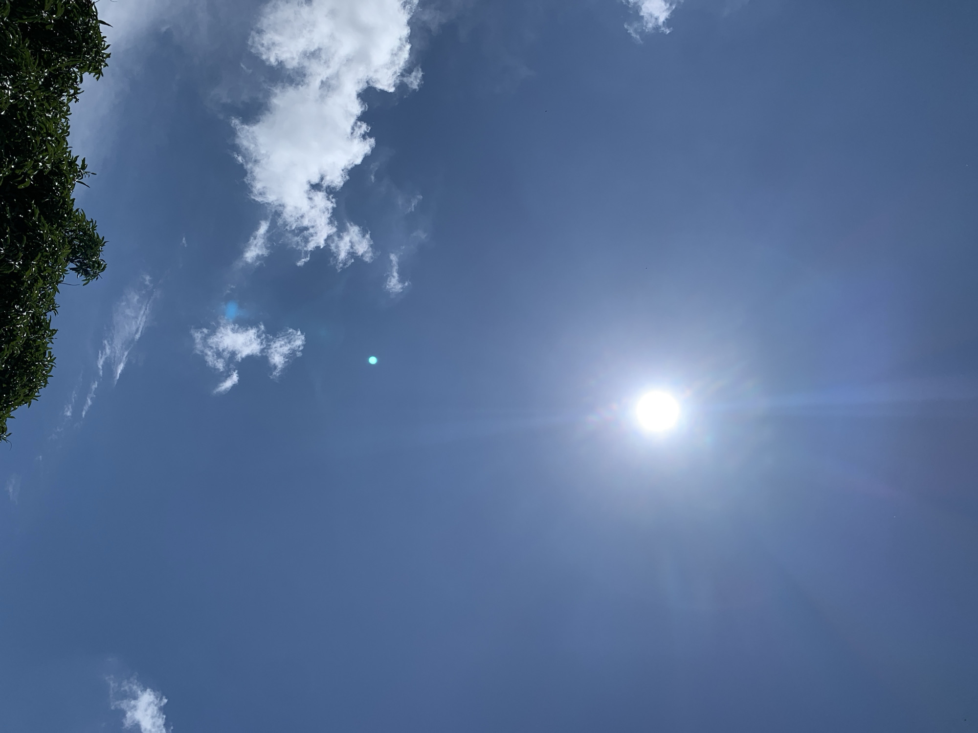 This is a vertical, eye-level shot of a bright, sunny sky with some scattered clouds and the tops of green trees. The sun is high in the sky, slightly off-center to the right, and is the brightest element in the image, creating a lens flare that extends downward. There are small, wispy white clouds in the sky. The bottom of the image shows the dark green foliage of trees. The image is taken from Kuru Karama, Nigeria.