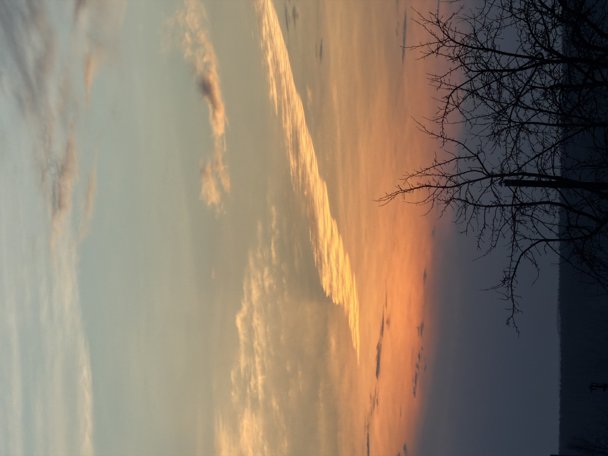 The image shows a sunset sky with bare tree branches silhouetted against the fading light. The sky transitions from a light, pale blue on the left to a vibrant orange on the right. A distinct band of golden clouds stretches diagonally across the center of the frame. On the right side, the tree branches are dark and intricate against the dusky sky. The environment appears to be in a rural or suburban area, with the city of Chaikovsky, Russia, possibly visible in the distance. No people or direct human actions are discernible in the image.