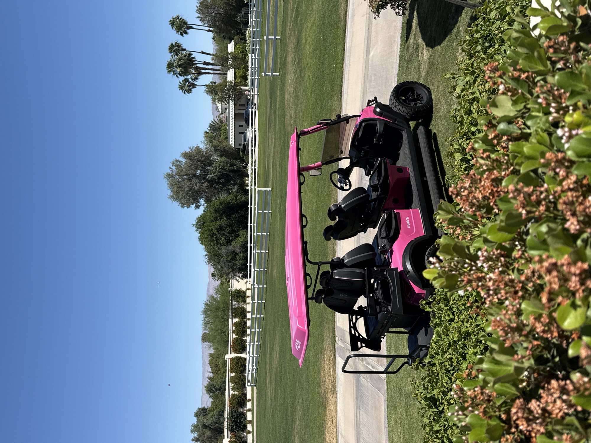 A pink golf cart with black seating is parked on a concrete path alongside green grass and a trimmed green bush in an outdoor setting. In the background is a white wooden fence and palm trees are visible, suggesting a well-manicured landscape. The setting appears to be in a residential area, likely in the city of La Quinta, United States of America, given the location information. The sky is clear blue.