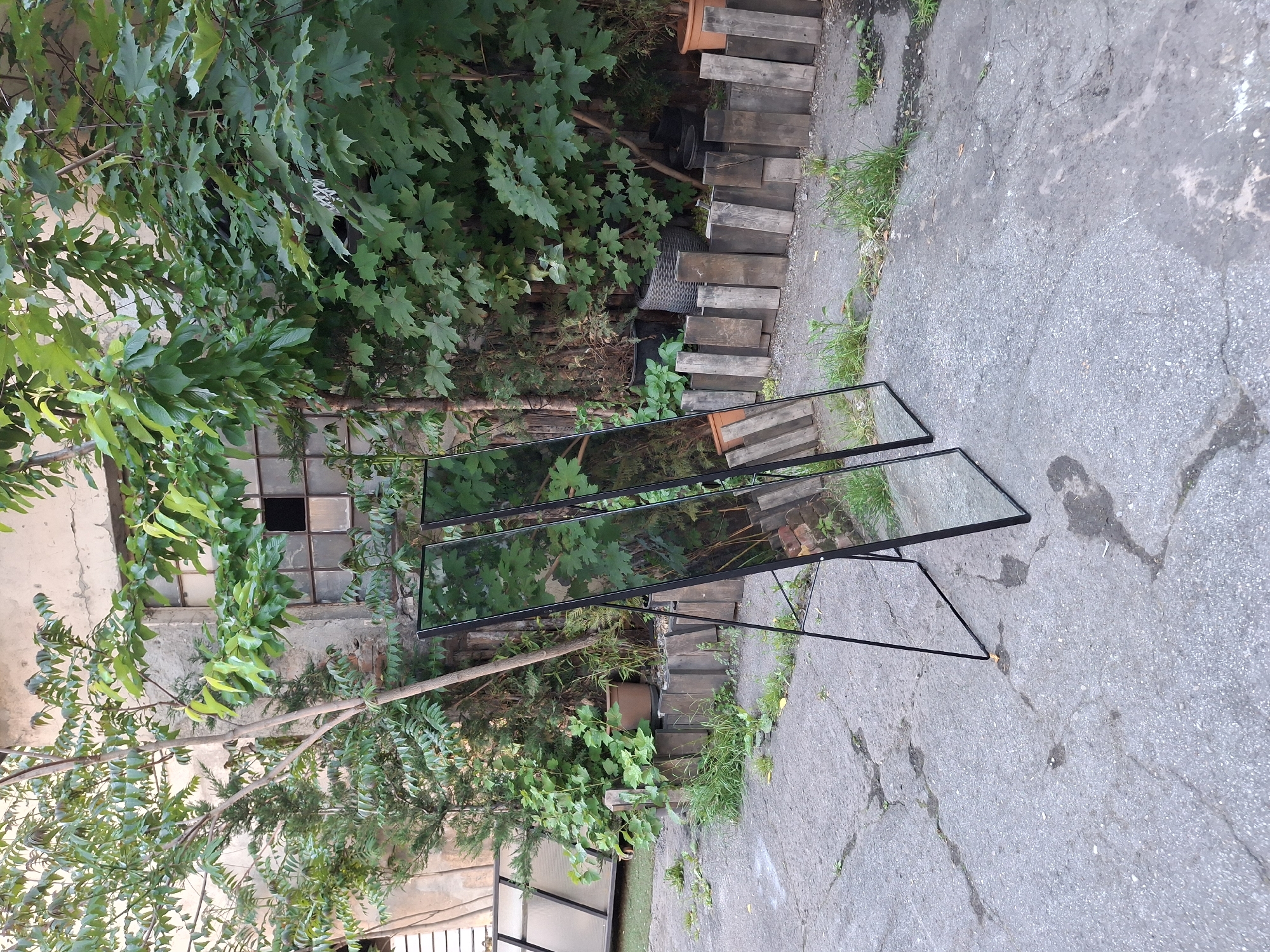 Two framed glass panels with supporting stands are propped up on a cracked concrete surface in an outdoor setting. The area is surrounded by lush vegetation, including trees and bushes. In the background, there is a building with a window. A series of wooden planks forms a step-like structure adjacent to the concrete surface.