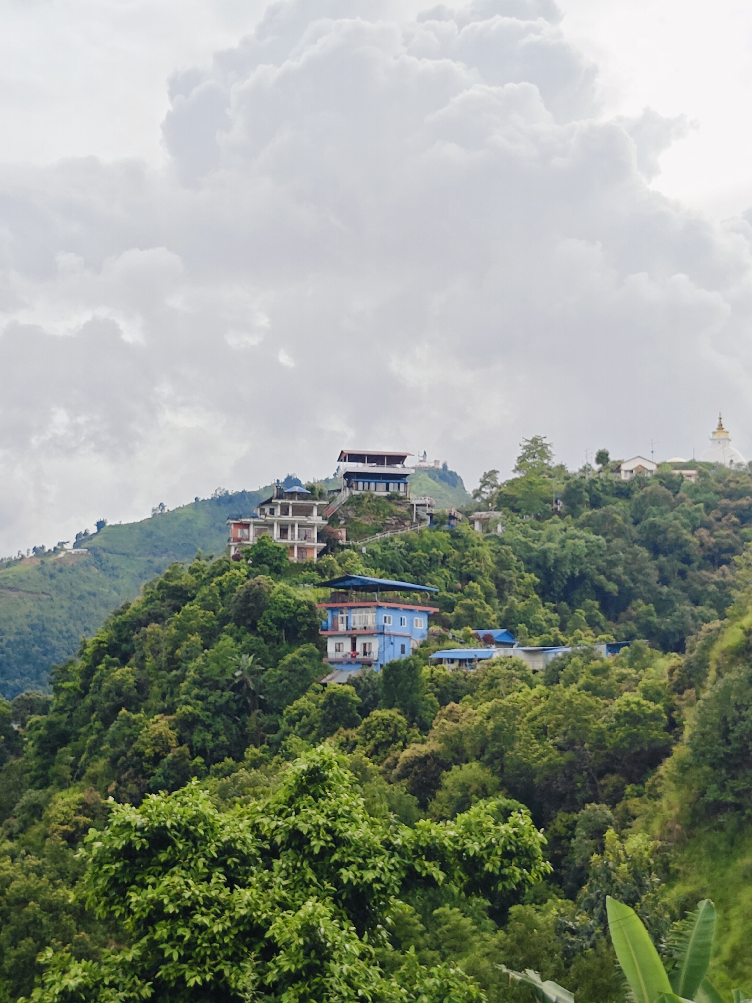 The image depicts a hillside in Pokhara, Nepal, dotted with multi-story buildings amidst lush green vegetation. The buildings are varied in design, with some featuring white and blue facades, while others are more modern with balconies and flat roofs. A prominent white stupa with a golden spire is visible on a distant peak, suggesting a religious site. The foreground is dominated by dense trees, their leaves a vibrant green, with some hints of banana leaves at the very bottom right. The sky is overcast with large, fluffy white clouds. The overall scene conveys a sense of a settlement integrated with a natural, hilly landscape.
