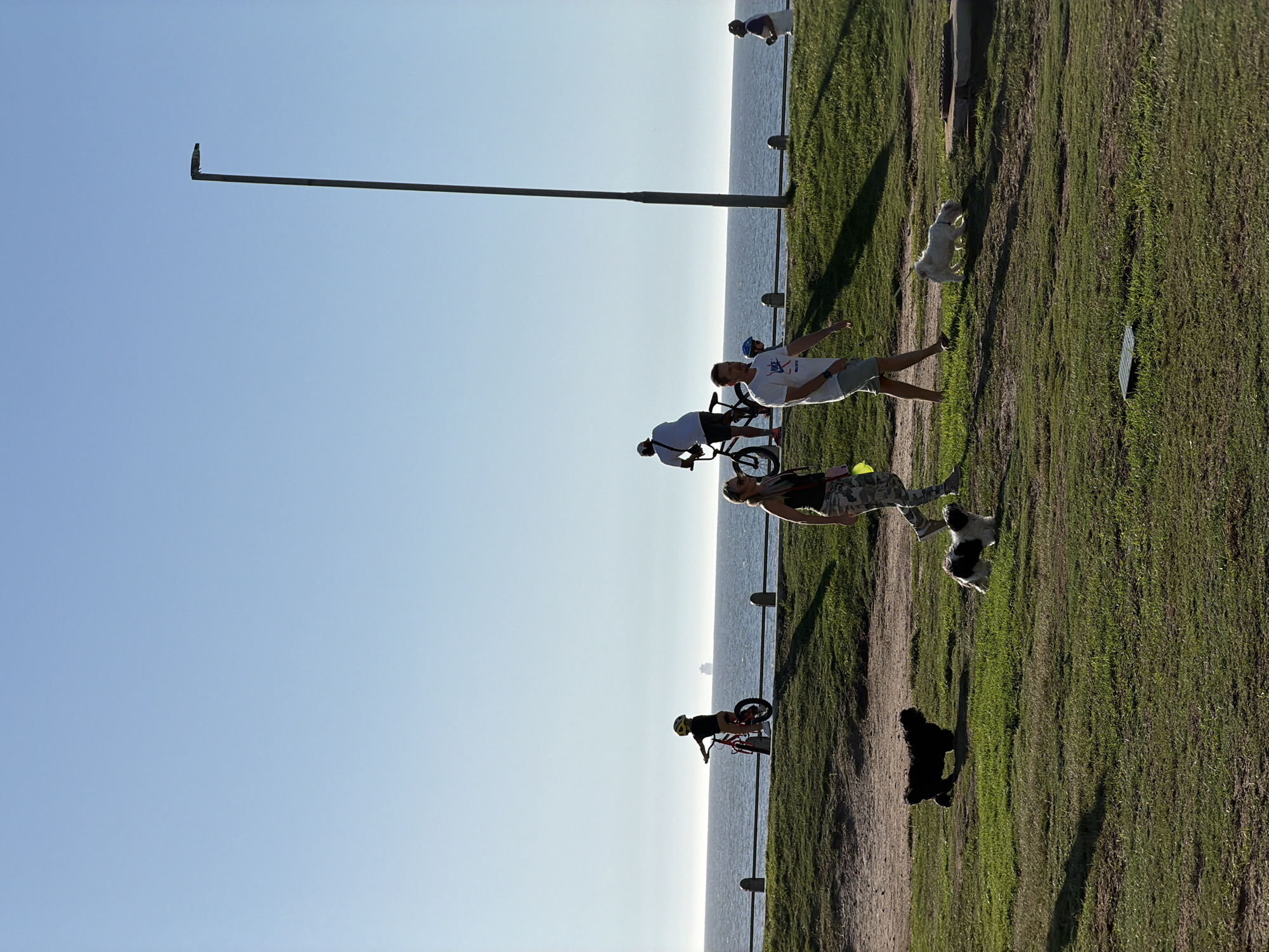 The image depicts a sunny day at a park near the ocean, possibly in Cape Town, South Africa, given the landscape.
A light pole stands tall against a clear blue sky on the left side of the frame. In the middle ground, there is a paved area and grassy terrain with several individuals:
* Two people are standing, one wearing a white t-shirt and the other in a tank top and camouflage pants.
* Two people are riding bikes.
* Three dogs of varying breeds (white, black and white, and solid black) are present on the grassy area.
The ocean and a distant coastline are visible in the background. A fence with small concrete pillars stands between the park and the ocean. The overall scene suggests a casual outdoor setting where people are engaging in activities like cycling and walking their dogs.