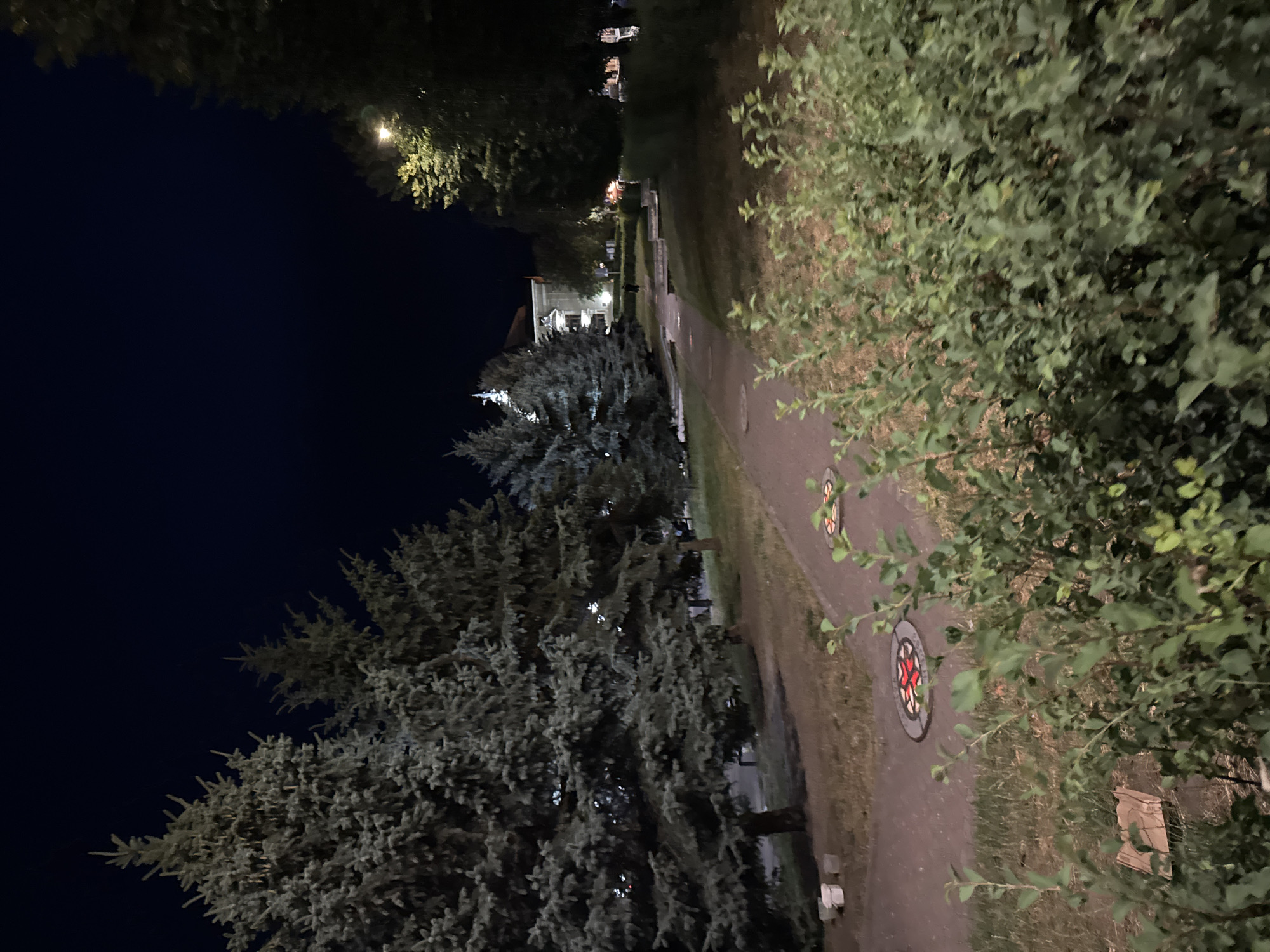 At night, a pathway curves through a park in Chernivtsi, Ukraine. Tall evergreen trees line the left side of the pathway, their dark foliage contrasting with the deep blue of the night sky. A building with illuminated windows is visible in the distance, framed by more trees. The pathway is paved and has circular decorative elements embedded within it. In the foreground, lush green bushes and grass fill the lower portion of the frame. The scene is lit by artificial lighting, suggesting it is a public park or urban green space.