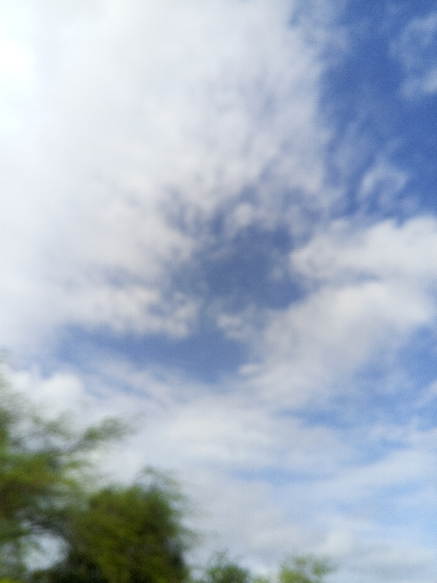The image depicts an outdoor scene with a focus on the sky, featuring a blend of blue and white. The sky is filled with clouds, some appearing wispy and others more substantial. The lighting suggests it could be daytime, likely under fair weather conditions, as the clouds are well-defined against the blue.
In the lower left portion of the image, the blurred shapes of green foliage are visible, hinting at trees or other vegetation. This suggests the photo was taken from ground level, looking upwards. The overall impression is one of nature and open space, with the sky being the dominant element. There is no visible text or human activity captured in the frame. The blurriness of the image may indicate movement or a deliberate artistic choice, obscuring finer details of the scene.