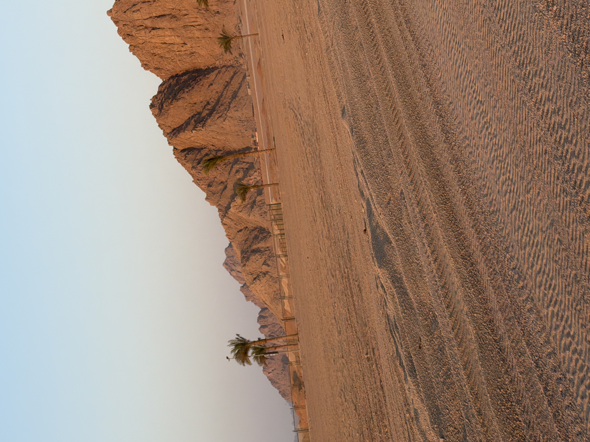 The image depicts a desert landscape with rugged mountains in the background under a clear sky. The foreground is a vast expanse of sand with visible tire tracks and ripples, suggesting a recent vehicle passage. Several palm trees are scattered across the scene, with some appearing more slender and others taller and fuller. A wire fence runs horizontally across the middle ground, behind which are mounds of sand or earth. The lighting suggests either sunrise or sunset, casting warm tones over the landscape. The environment is arid and likely located in a desert region, consistent with the outskirts of Sharm El Sheikh, Egypt, known for its desert terrain bordering the Red Sea. There are no people visible in the image, and the scene is static.